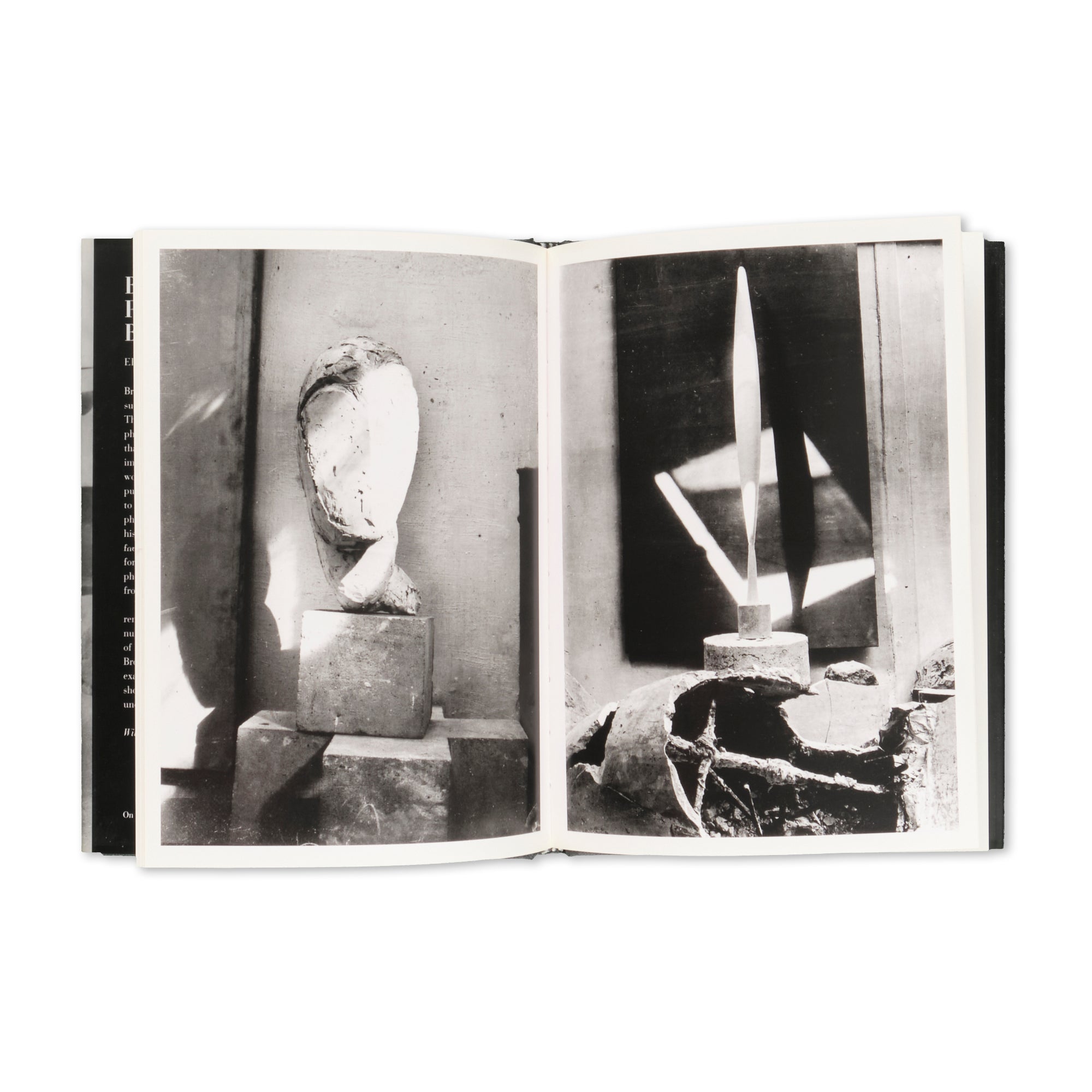 Elizabeth A. Brown - Brancusi Photographs Brancusi