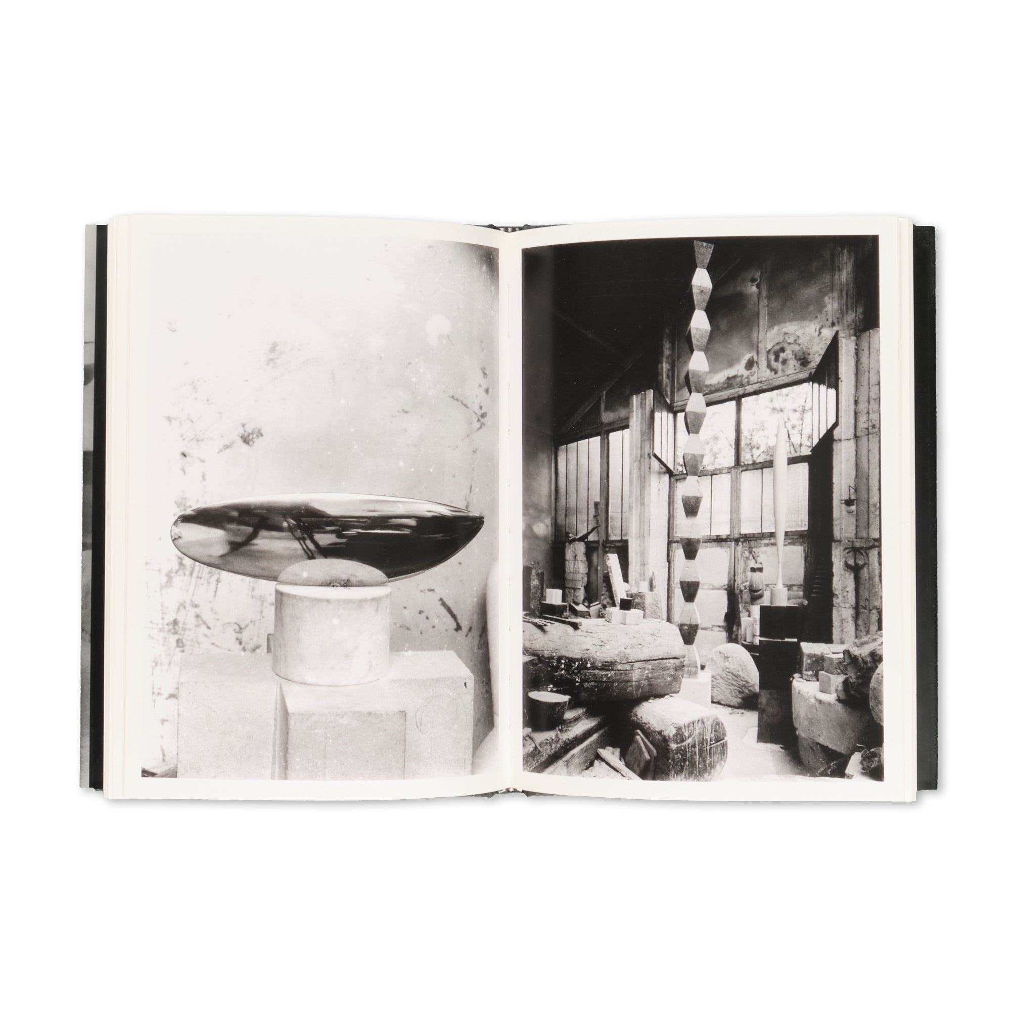 Elizabeth A. Brown - Brancusi Photographs Brancusi