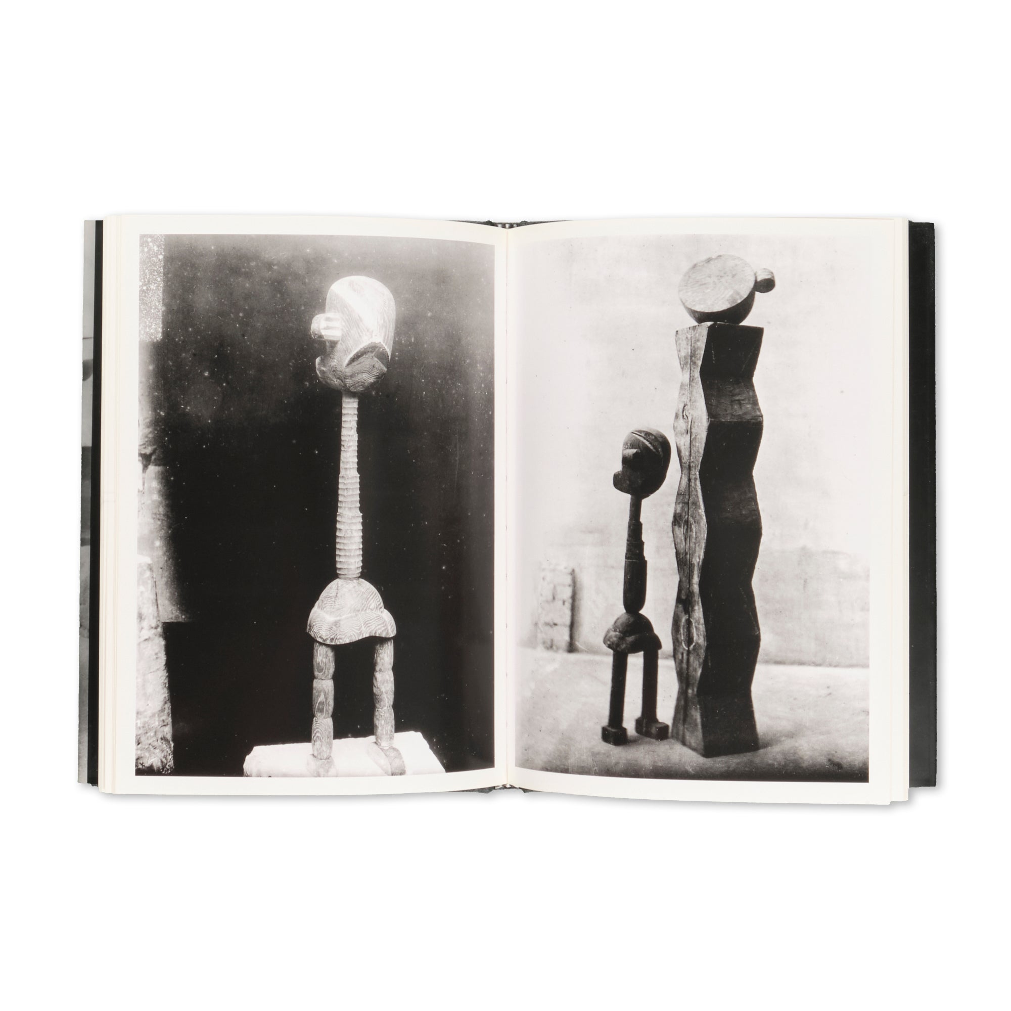 Elizabeth A. Brown - Brancusi Photographs Brancusi