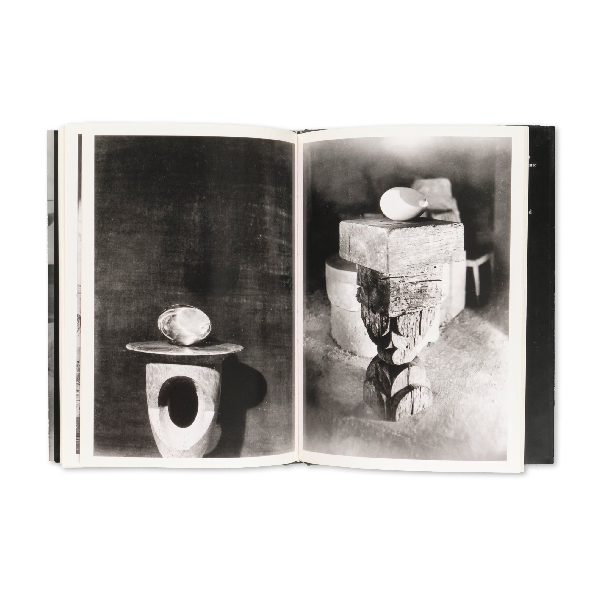 Elizabeth A. Brown - Brancusi Photographs Brancusi