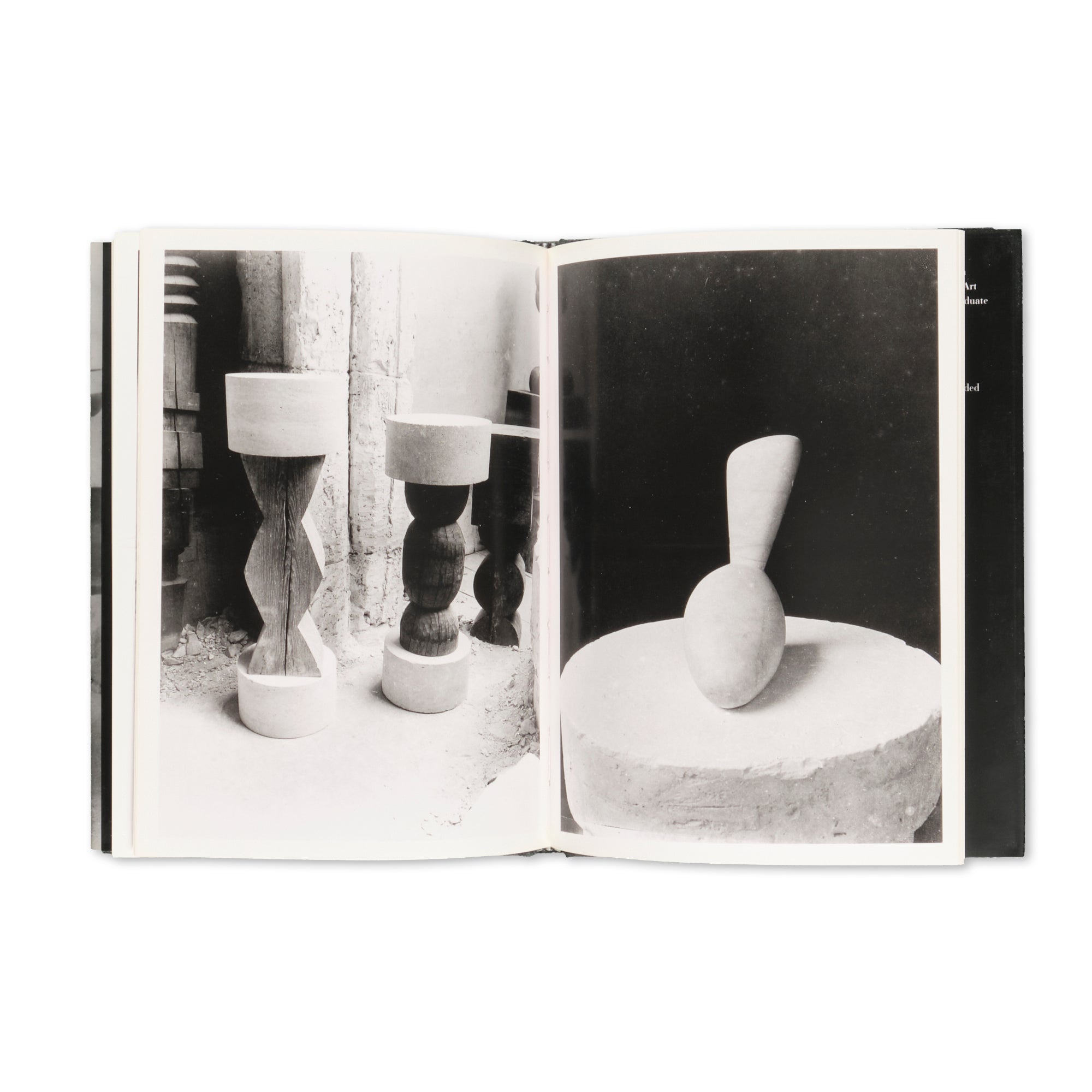 Elizabeth A. Brown - Brancusi Photographs Brancusi