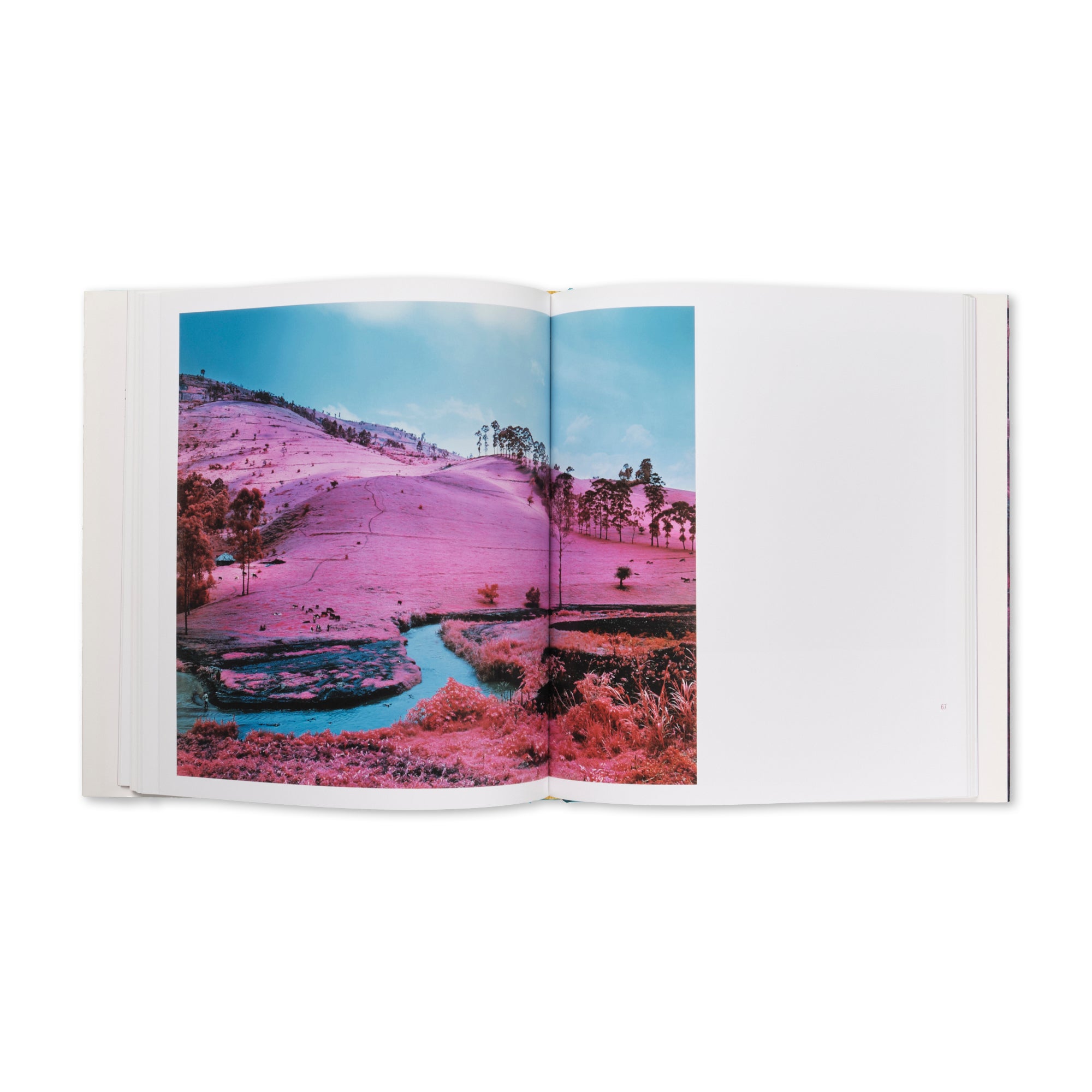 Richard Mosse - Infra