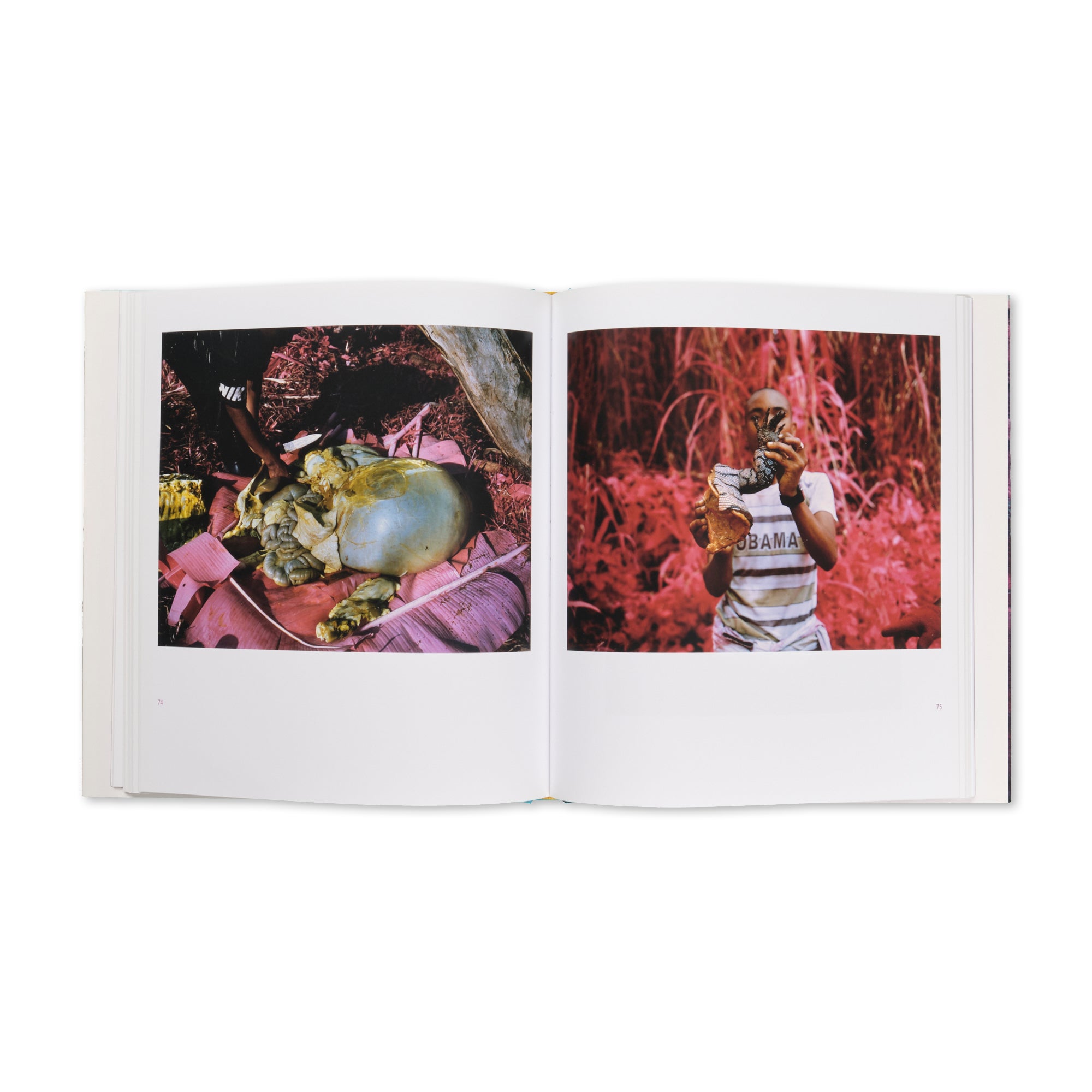 Richard Mosse - Infra