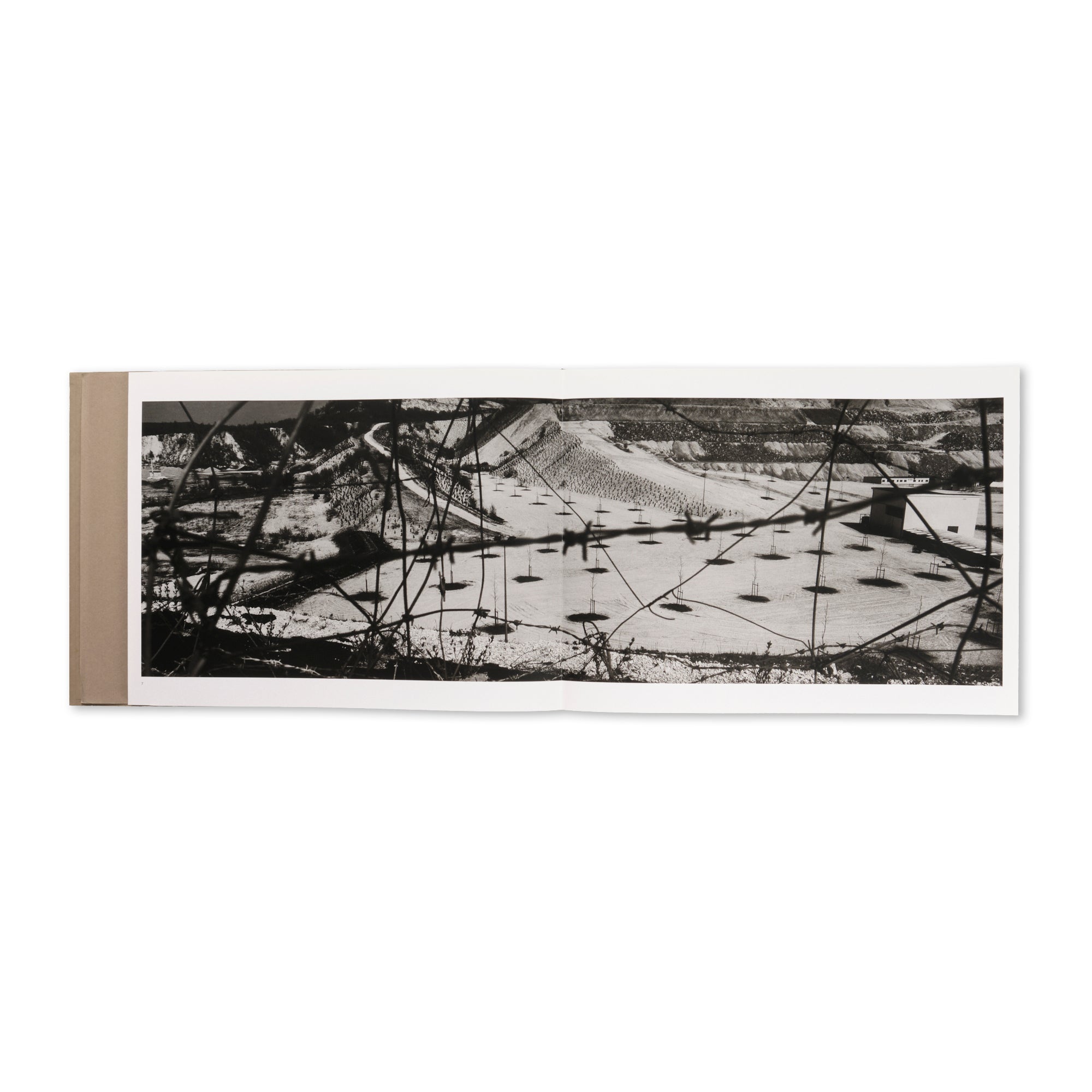 Josef Koudelka - Limestone