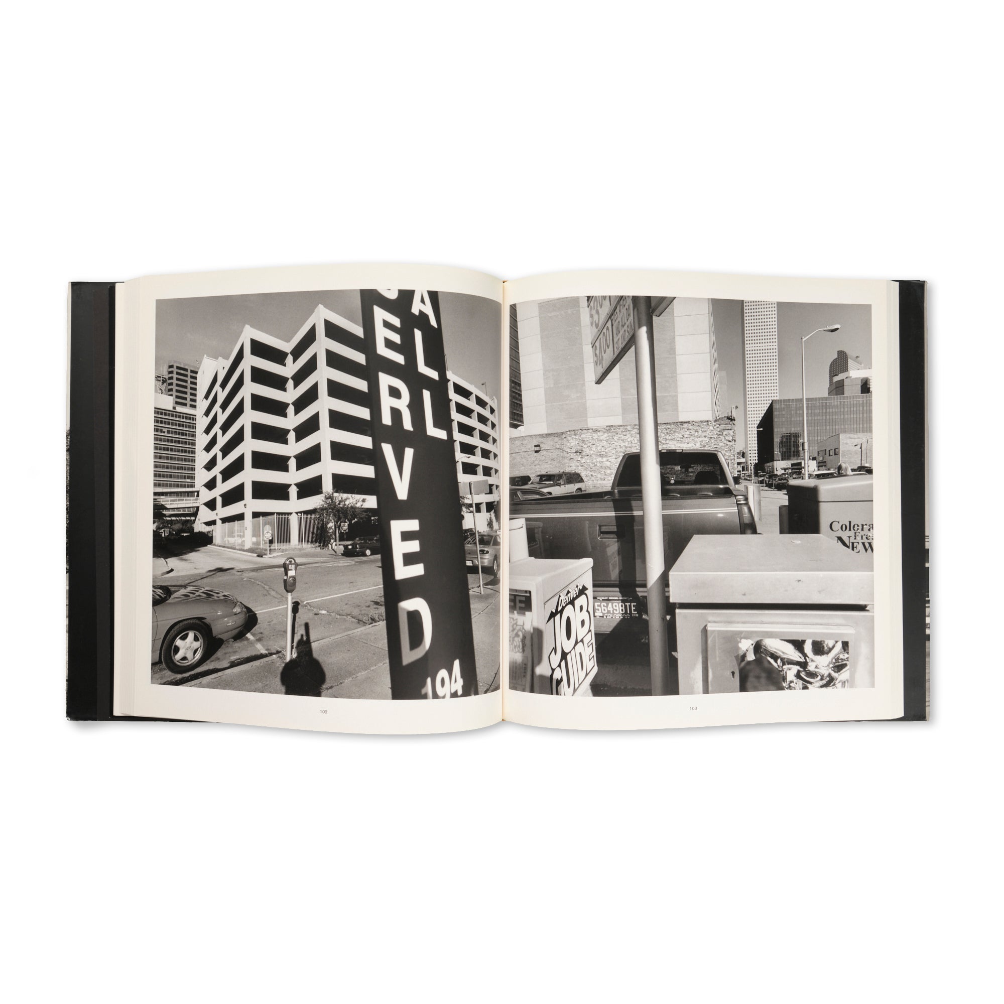 Lee Friedlander - Sticks & Stones