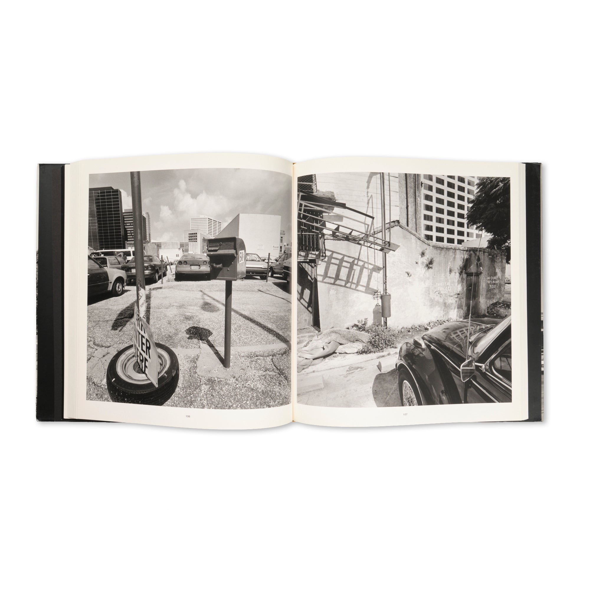 Lee Friedlander - Sticks & Stones