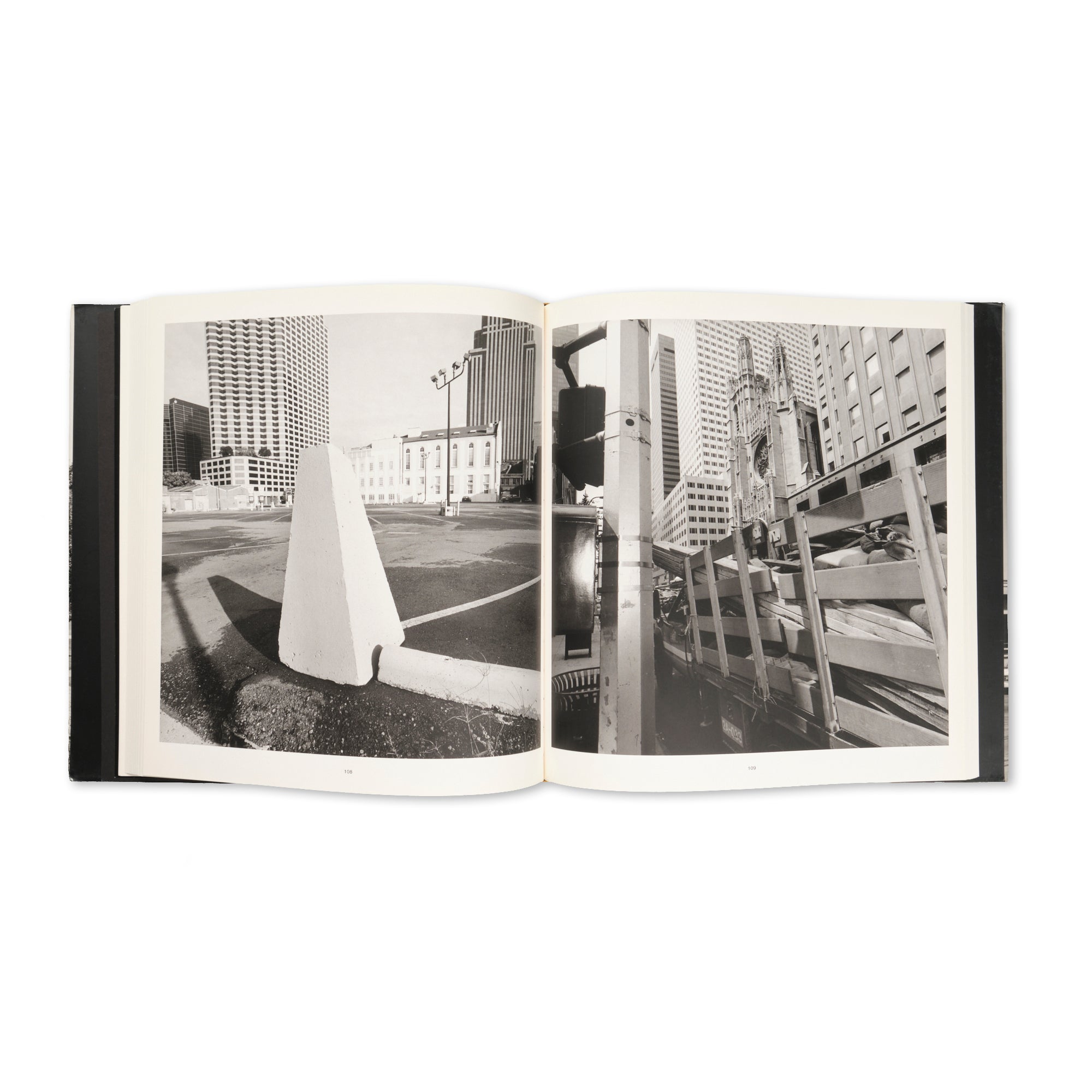 Lee Friedlander - Sticks & Stones