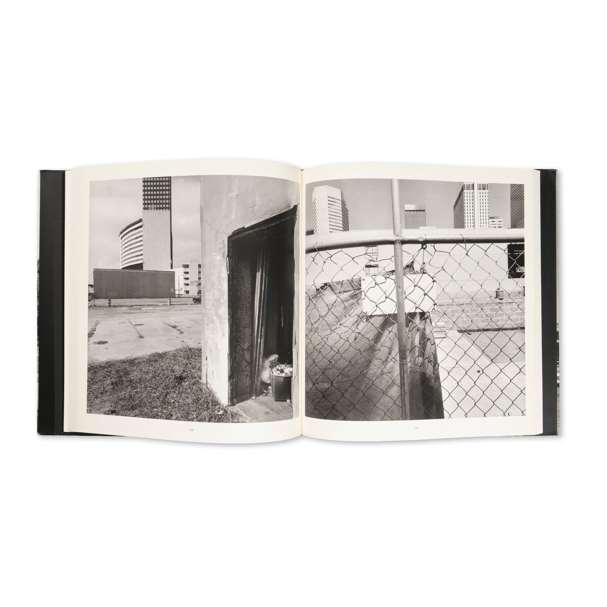 Lee Friedlander - Sticks & Stones