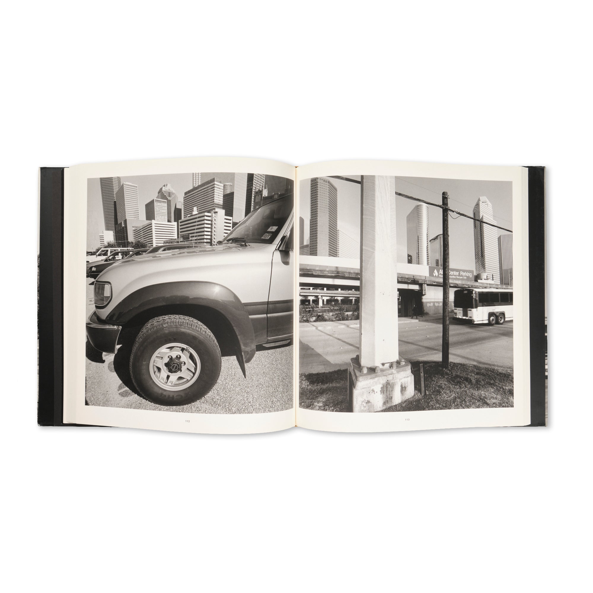 Lee Friedlander - Sticks & Stones