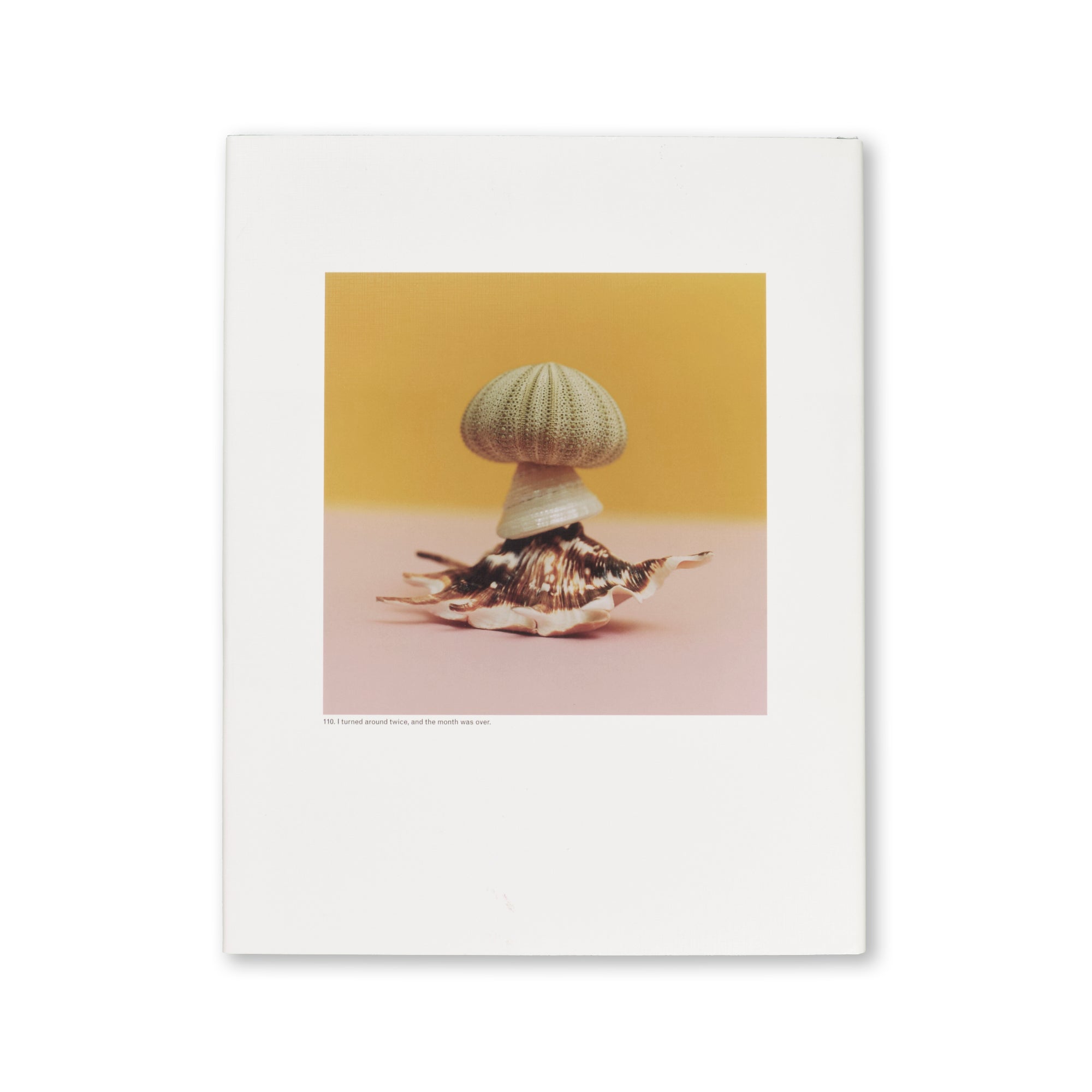 Jason Fulford - The Mushroom Collector