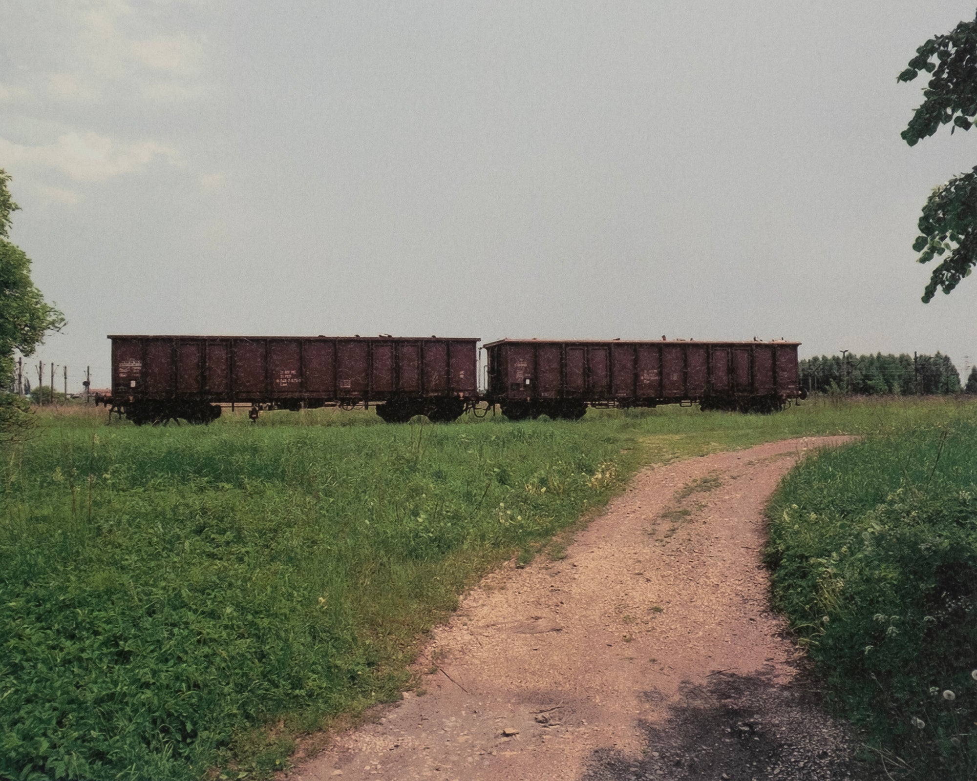 Andreas Magdanz — Auschwitz-Birkeneau