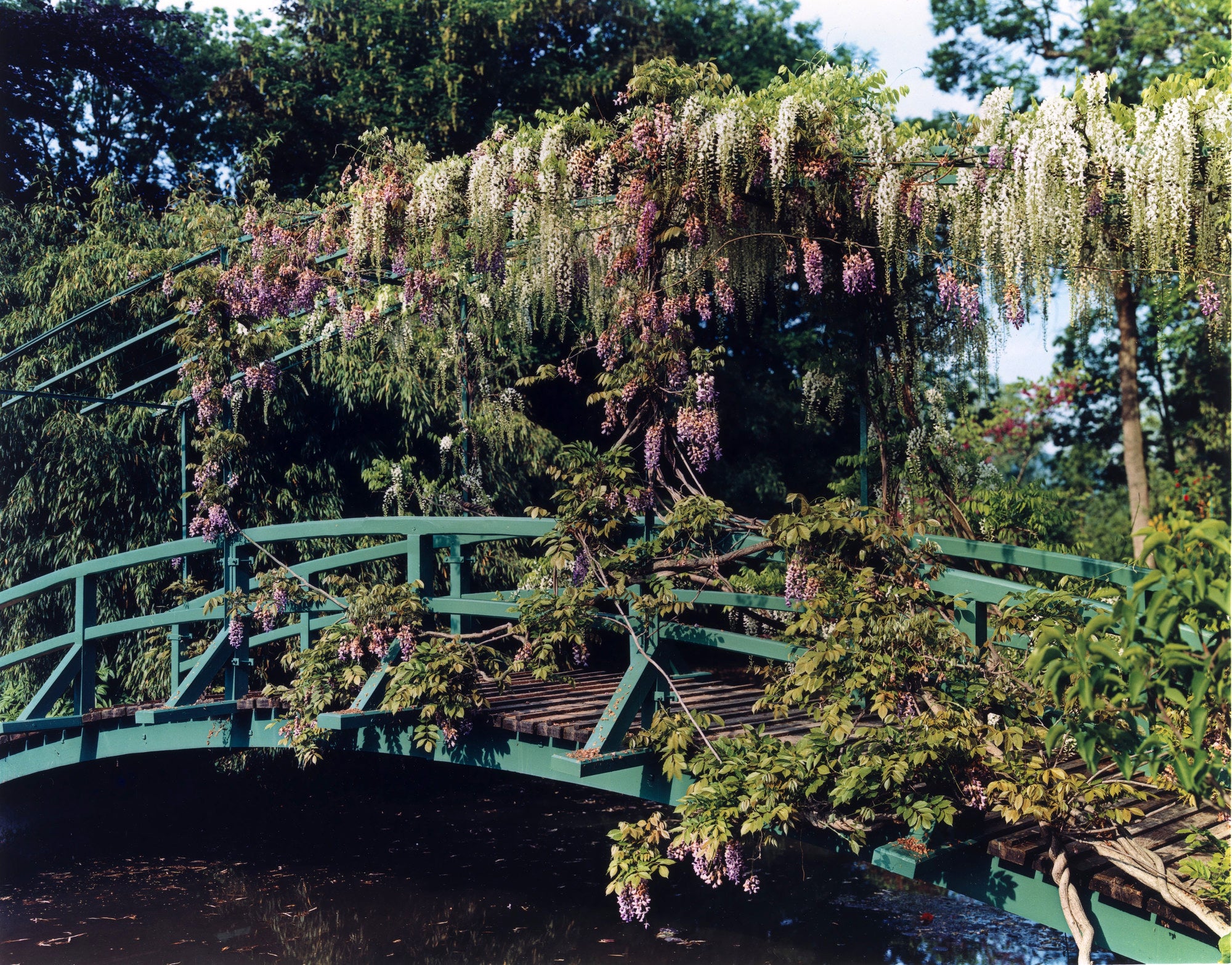 Stephen Shore — The Gardens At Giverny