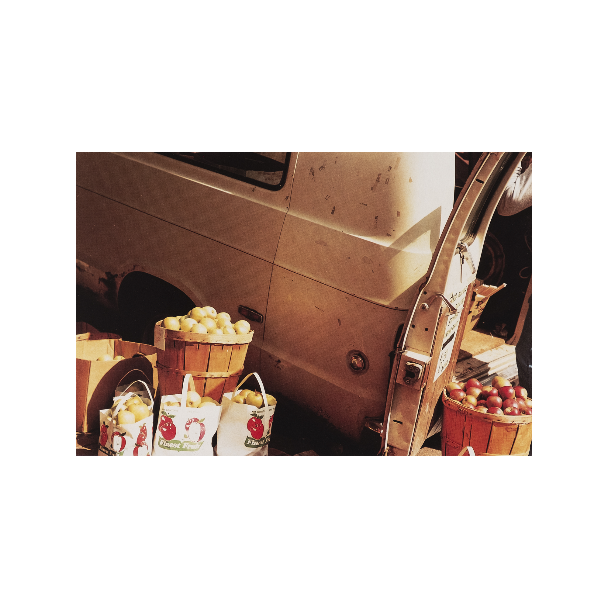 William Eggleston - The Democratic Forest