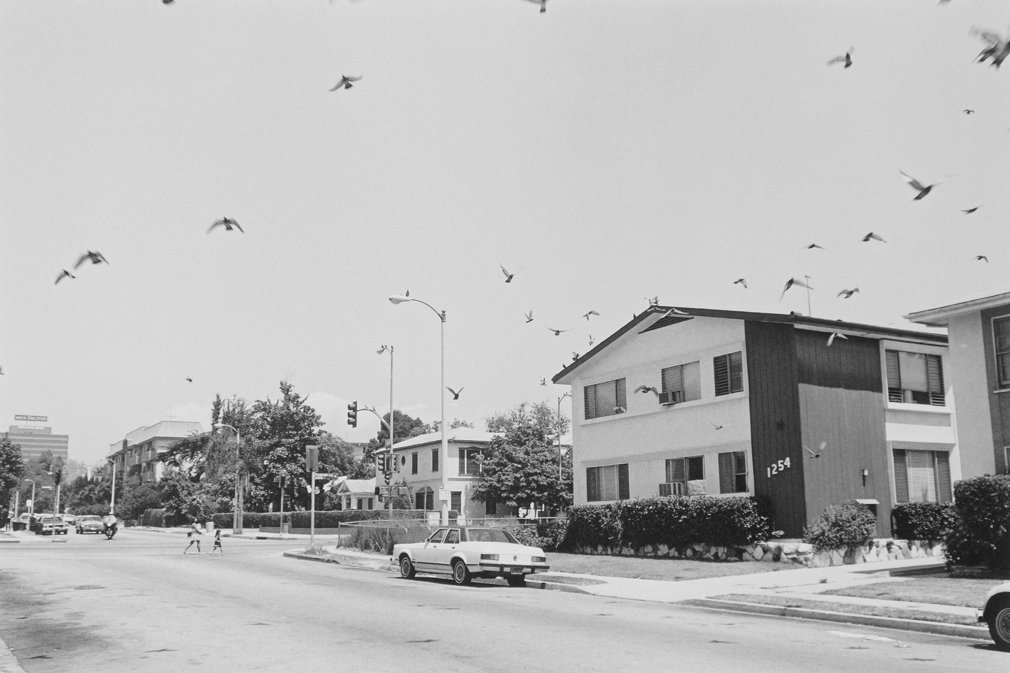 Mark Steinmetz — Angel City West 2