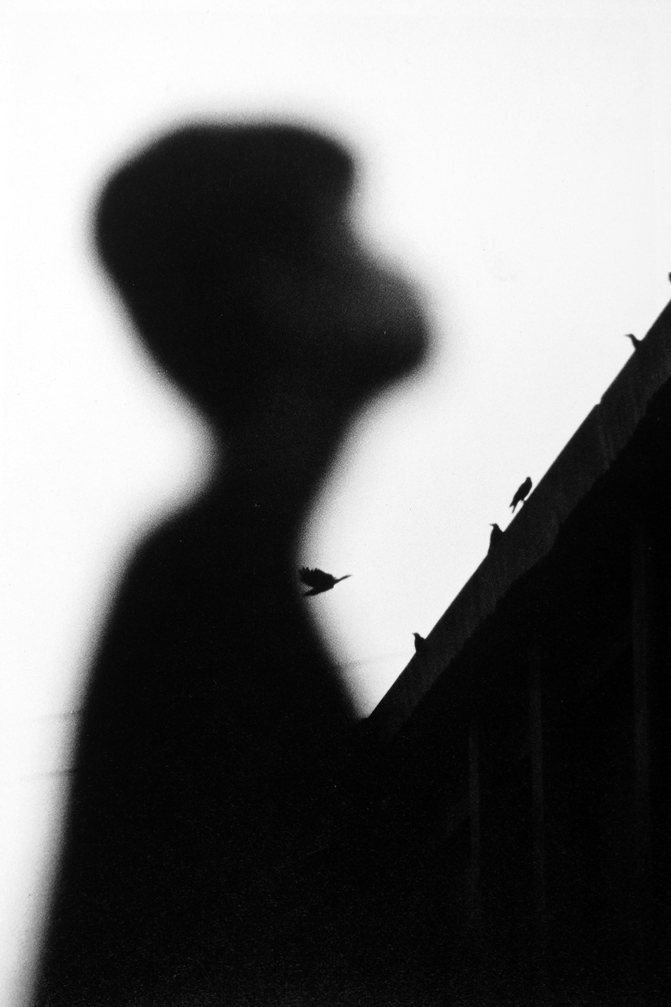 Masahisa Fukase — Slaughter