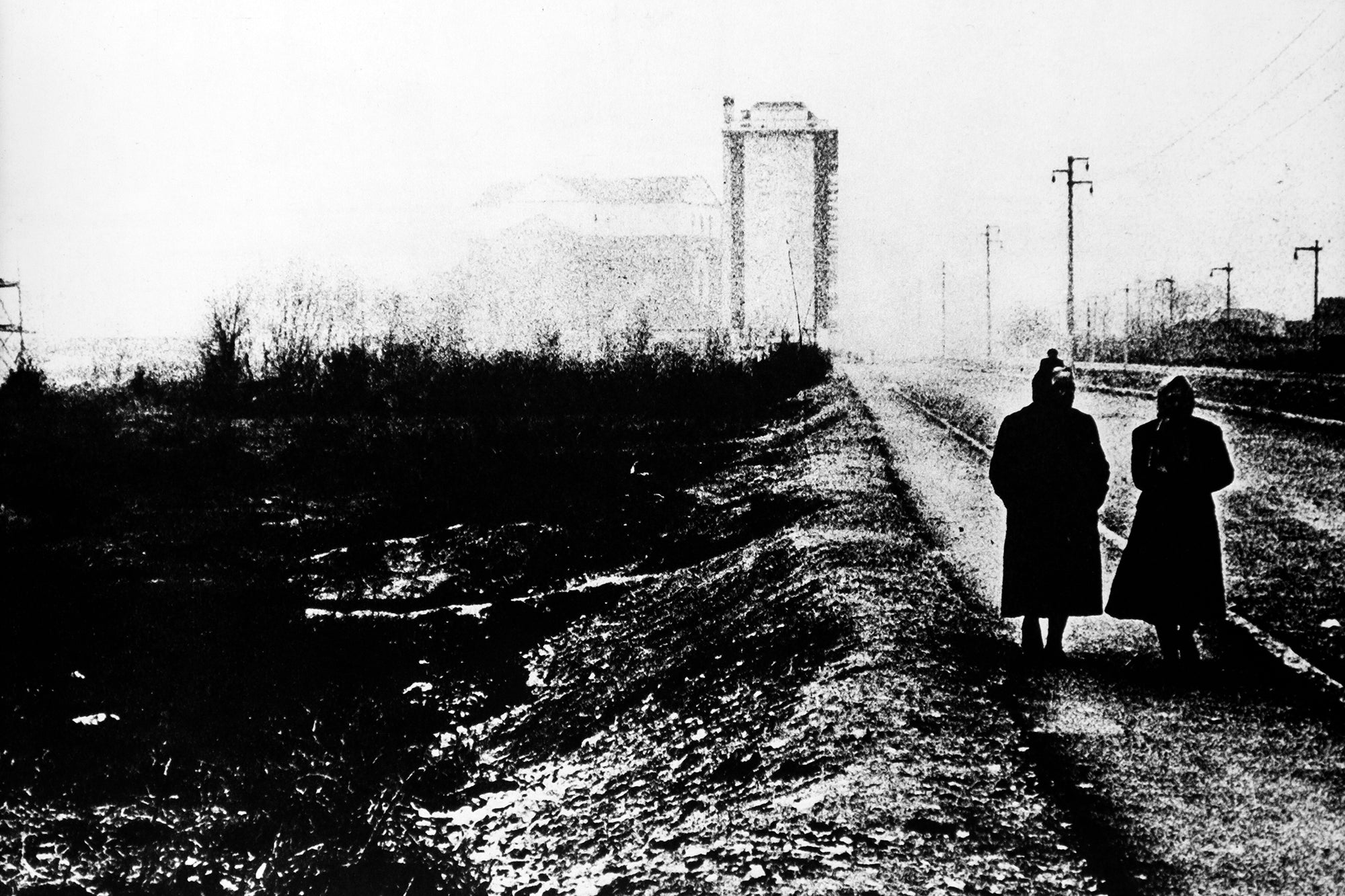 Mario Carrieri — Milano, Italia