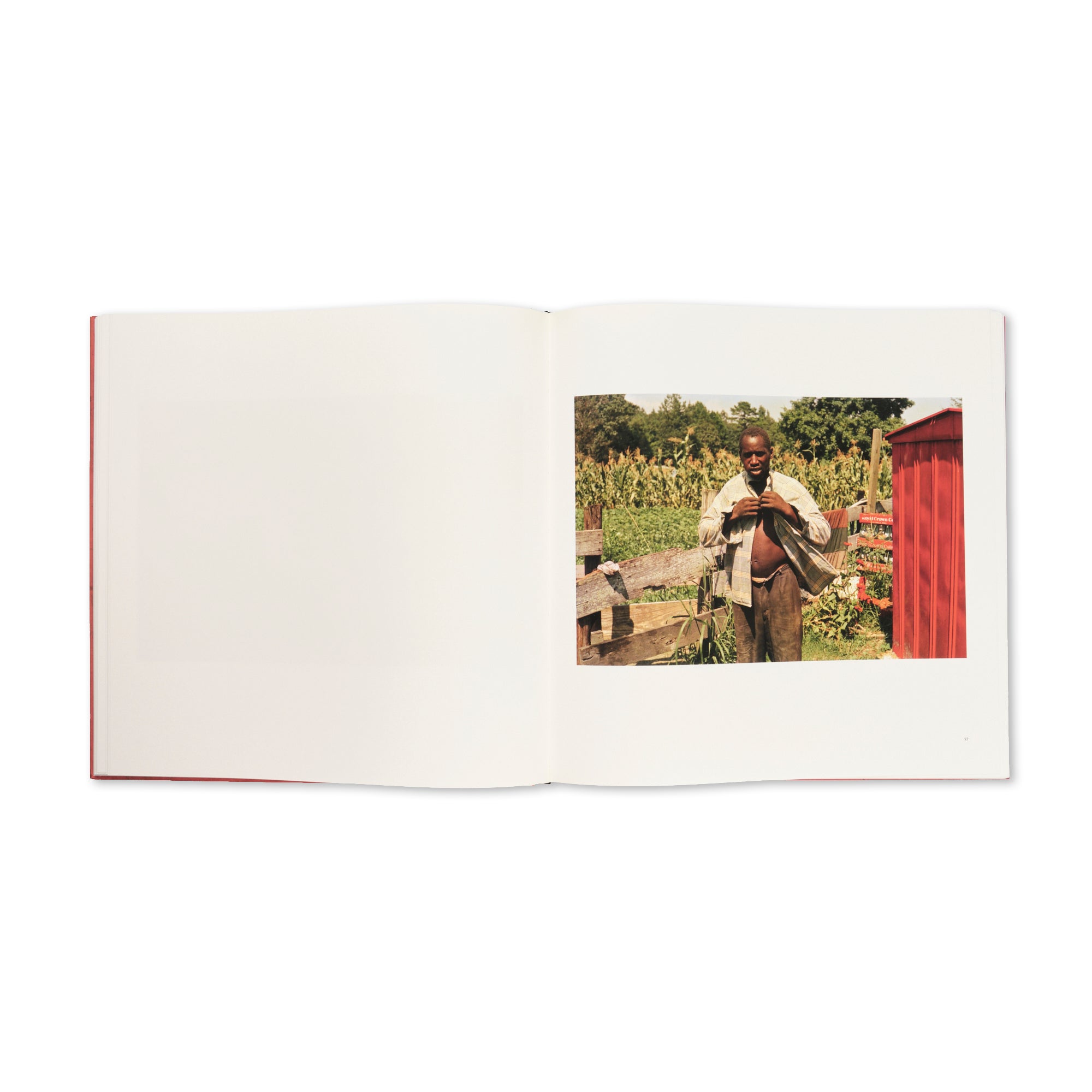 William Eggleston - Los Alamos Revisited