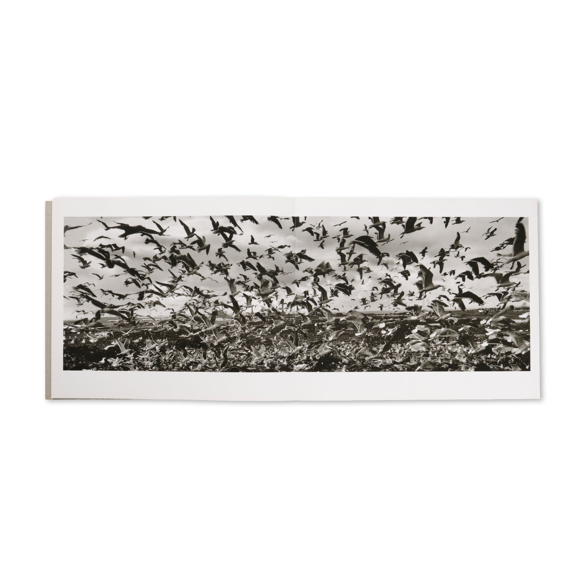 Josef Koudelka - Reconnaissance Wales