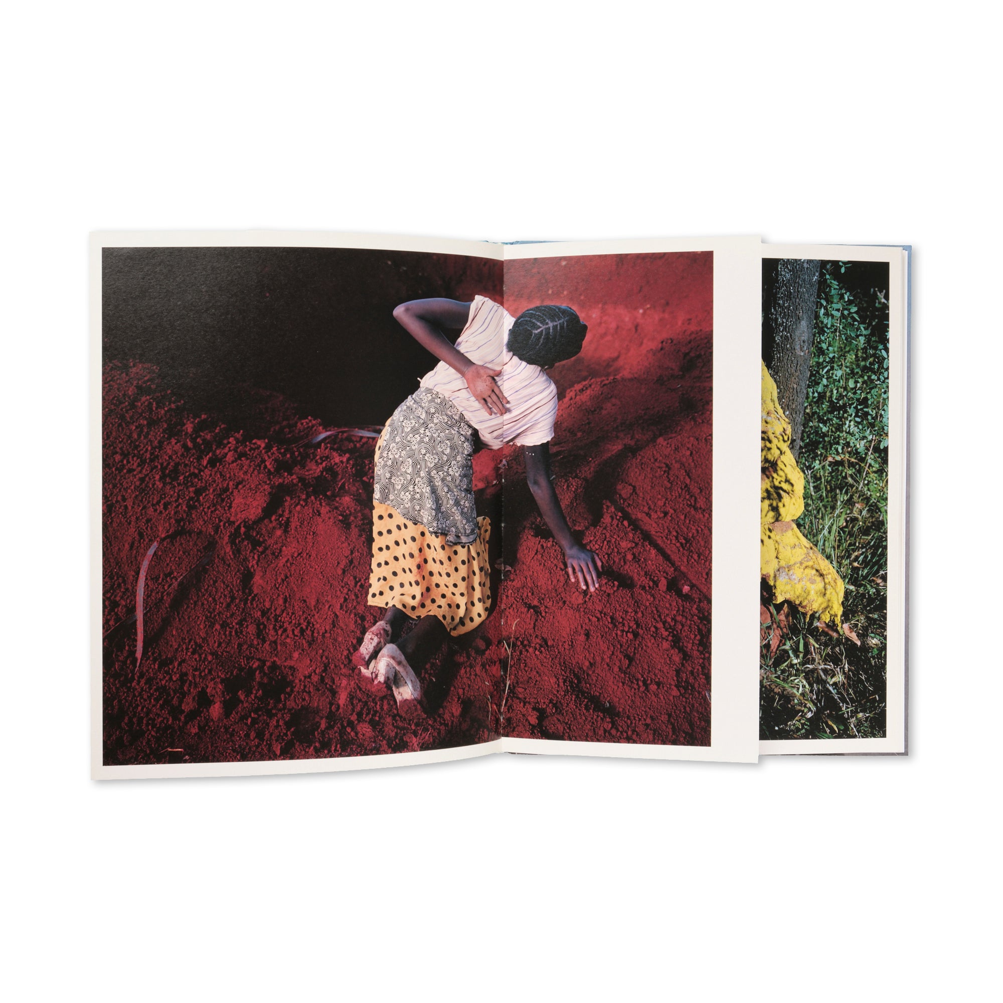 Viviane Sassen - Flamboya