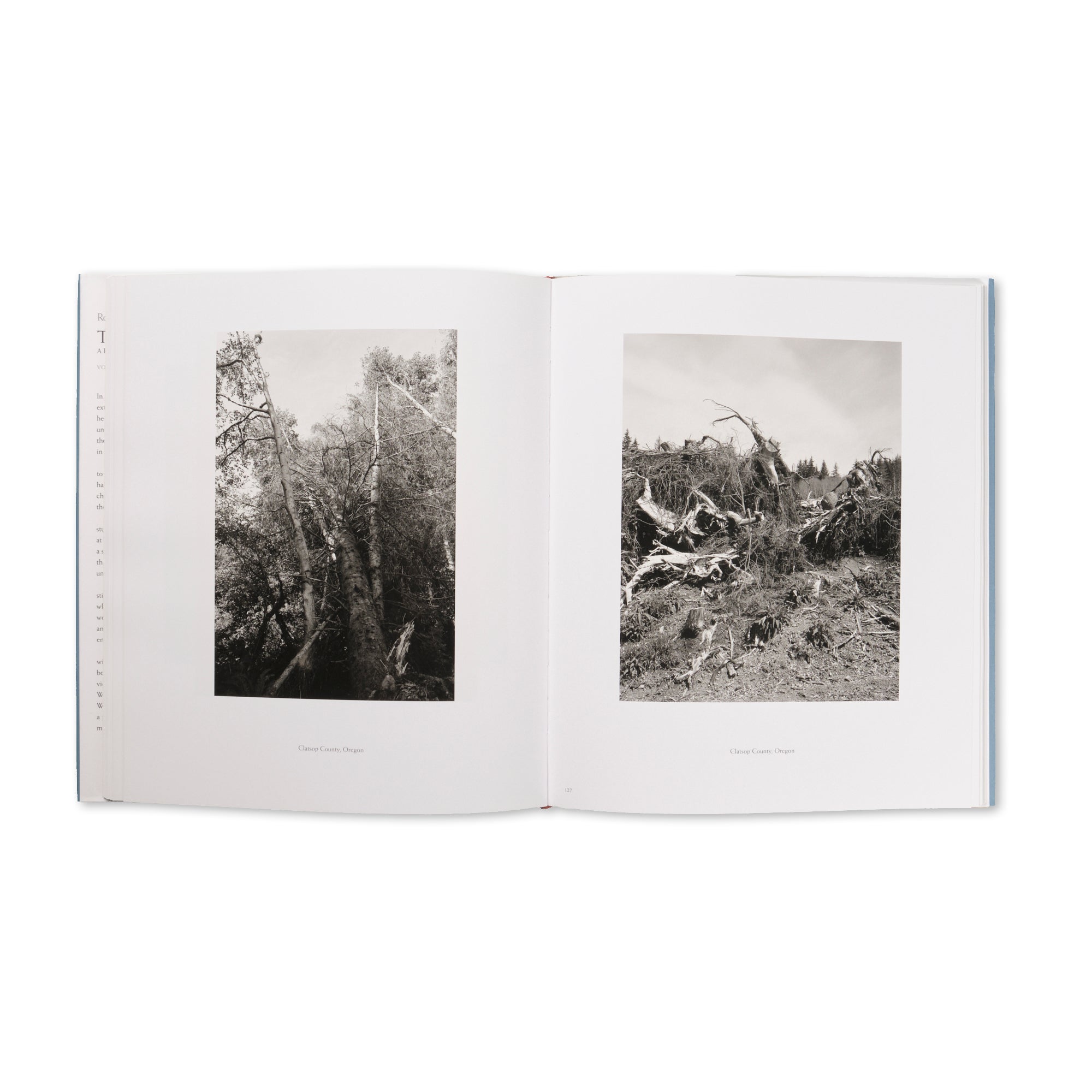 Robert Adams — The Place We Live