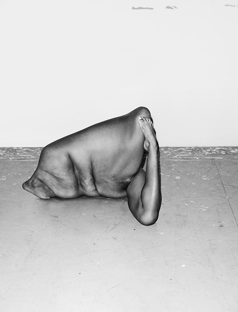 Asger Carlsen — Hester