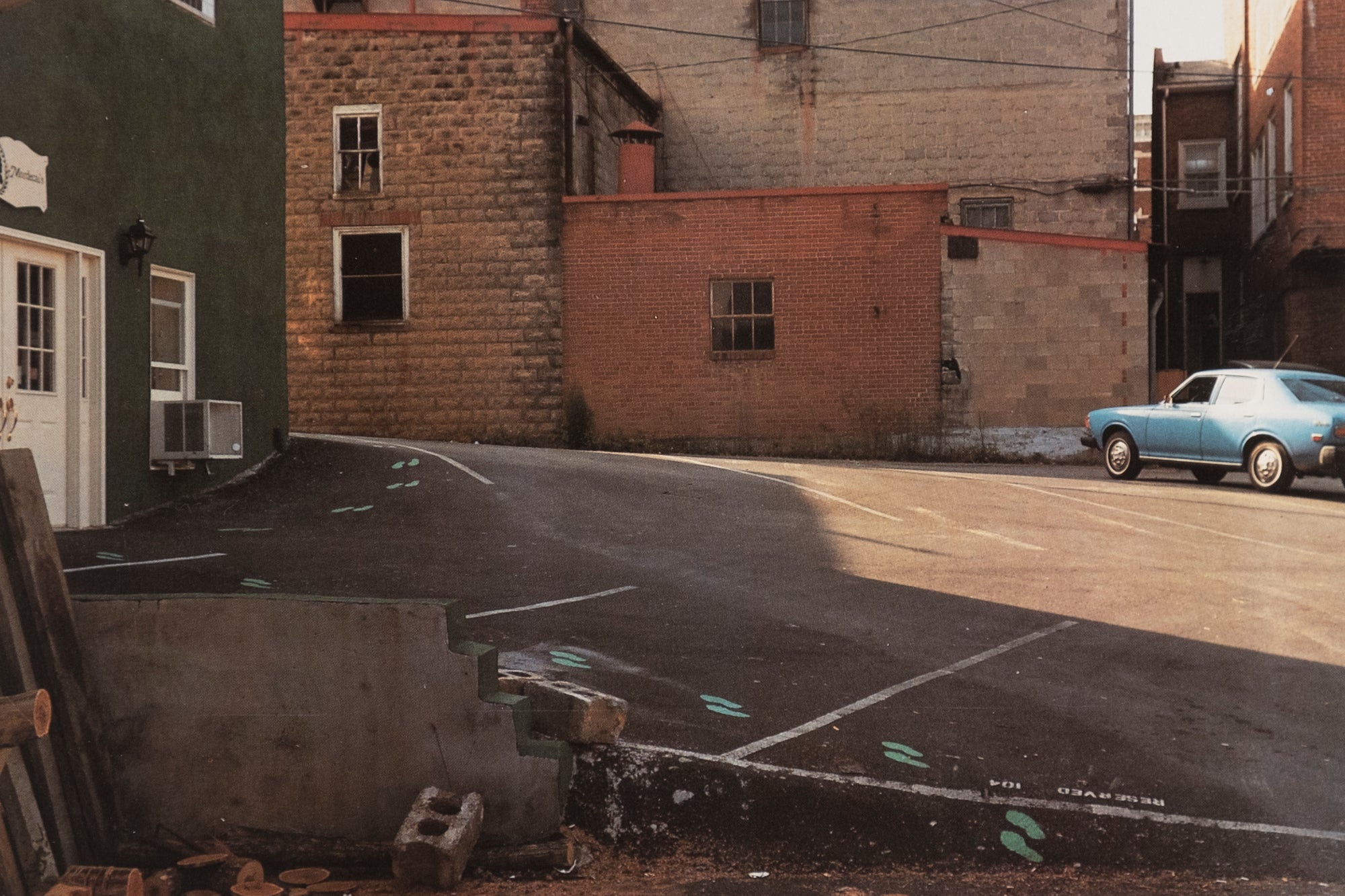 William Eggleston — The Democratic Forest