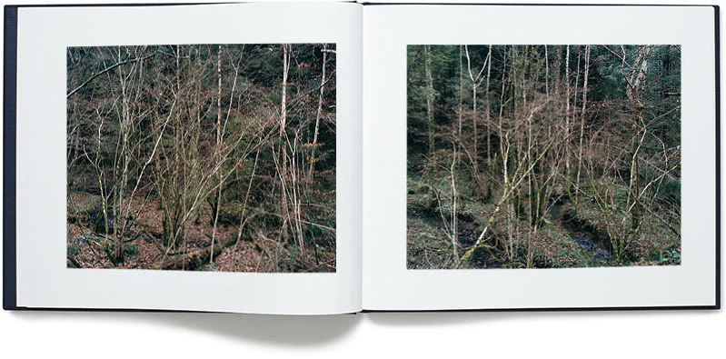 Jem Southam — The River Winter