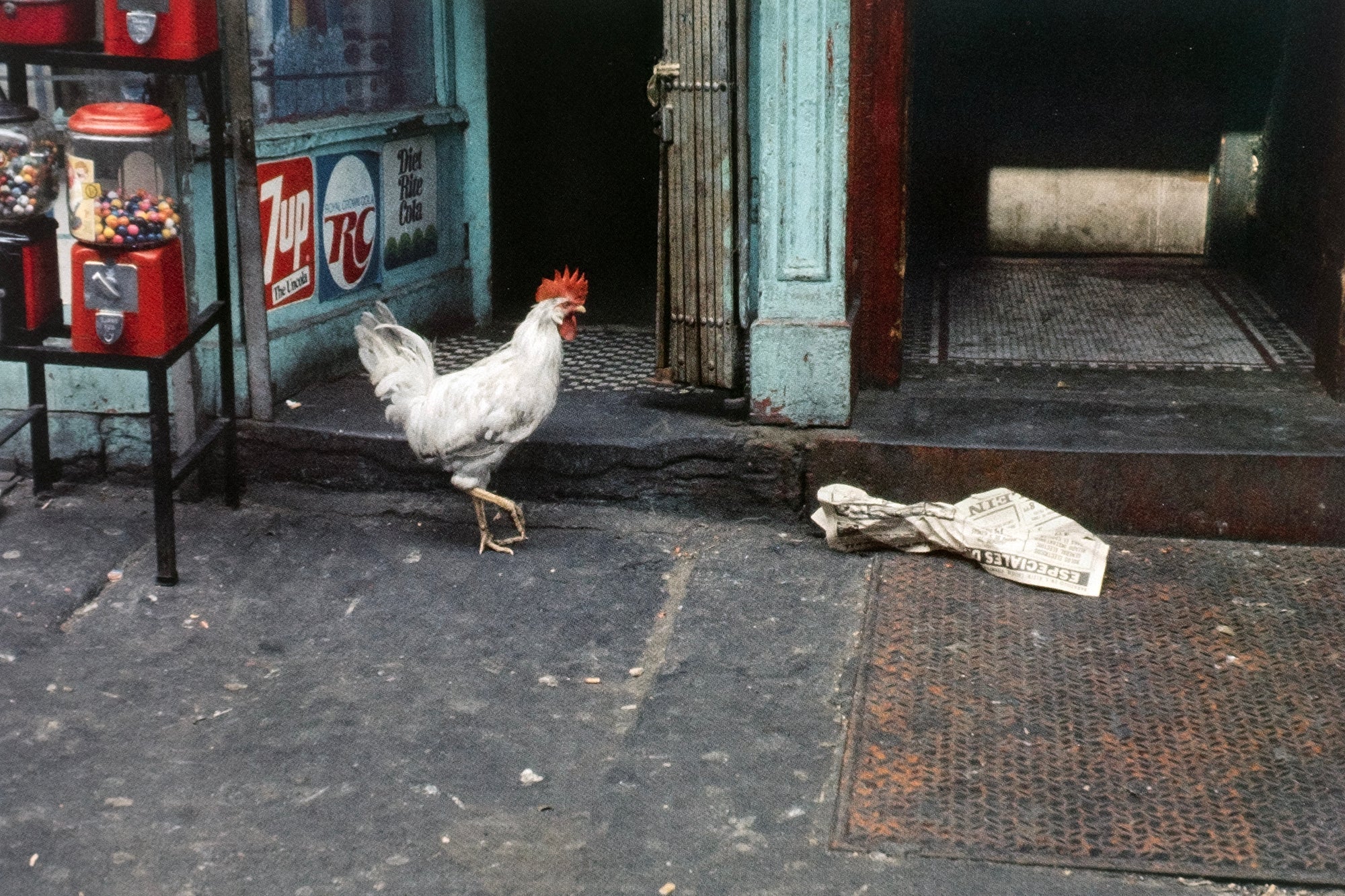 Helen Levitt — Slide Show