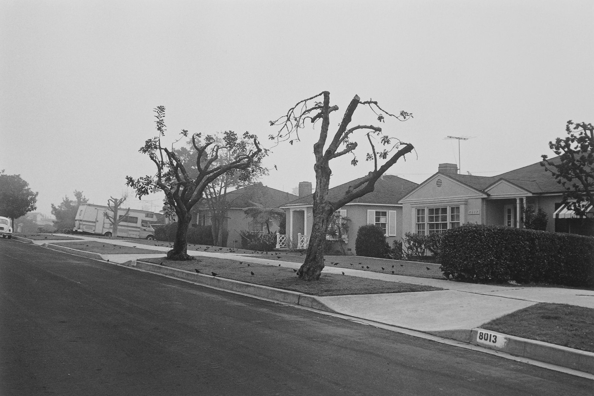 Mark Steinmetz — Angel City West 2