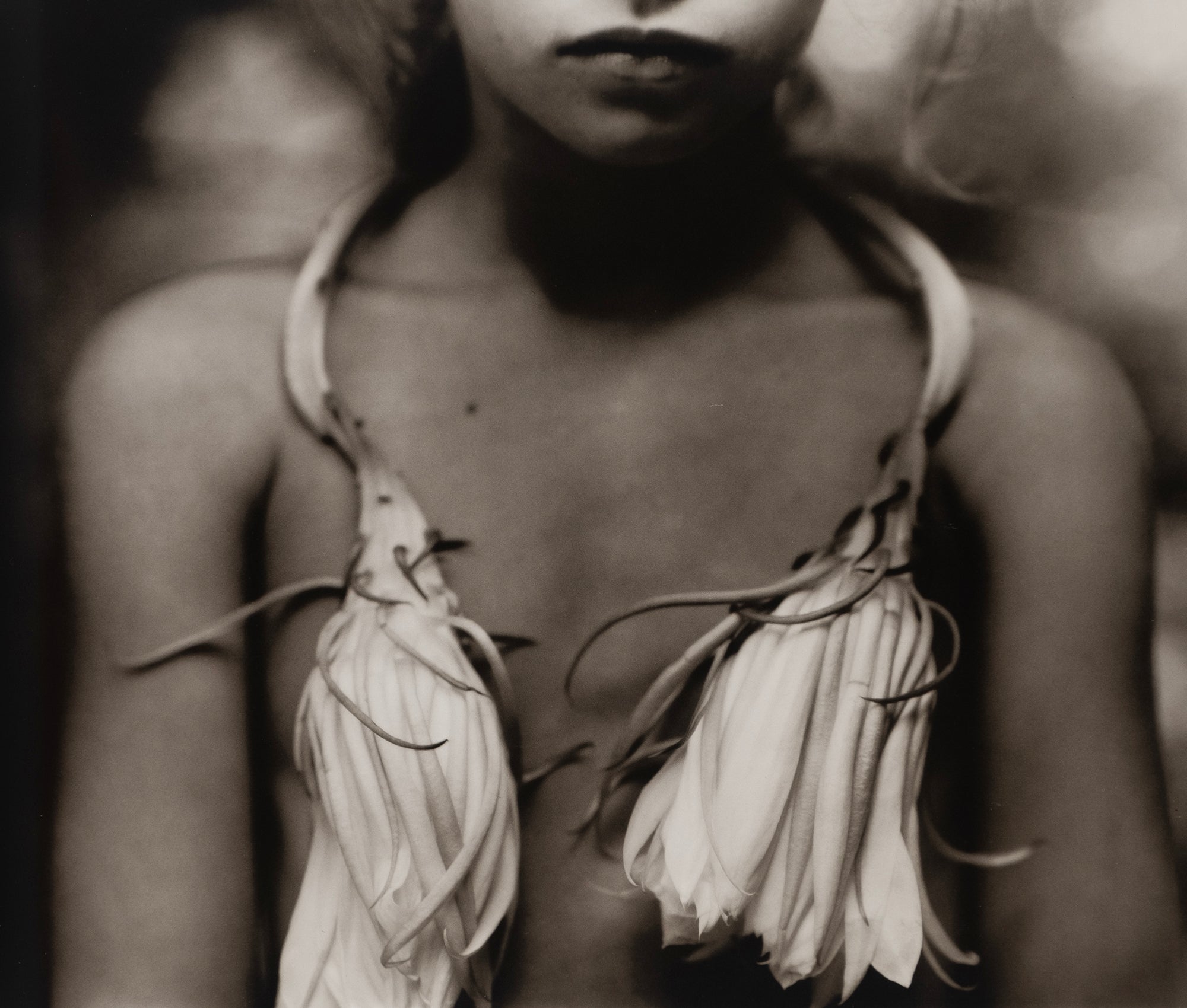 Sally Mann — Immediate Family