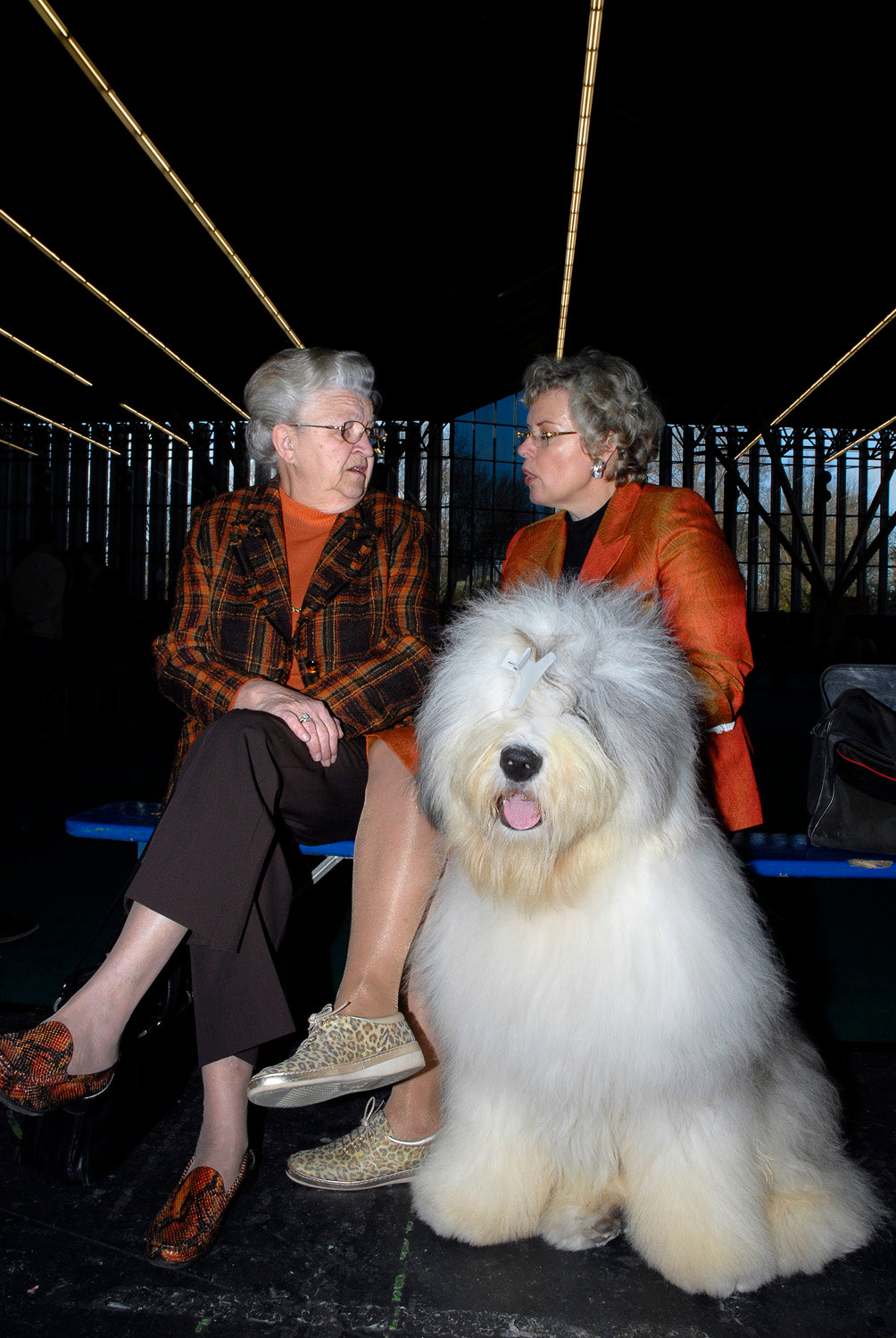 Isabella Rozendaal — On Loving Animals