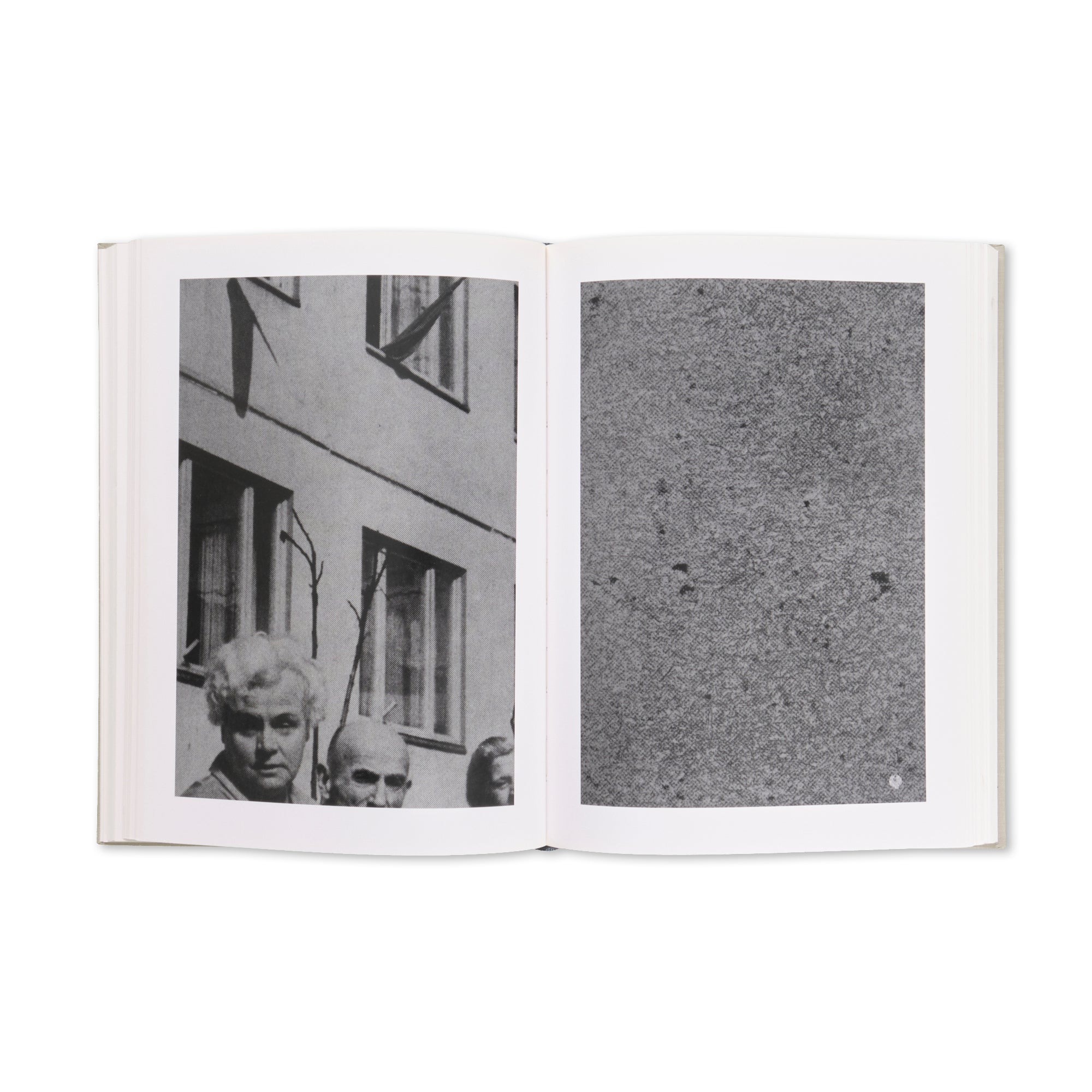 Michael Schmidt - EIN-HEIT