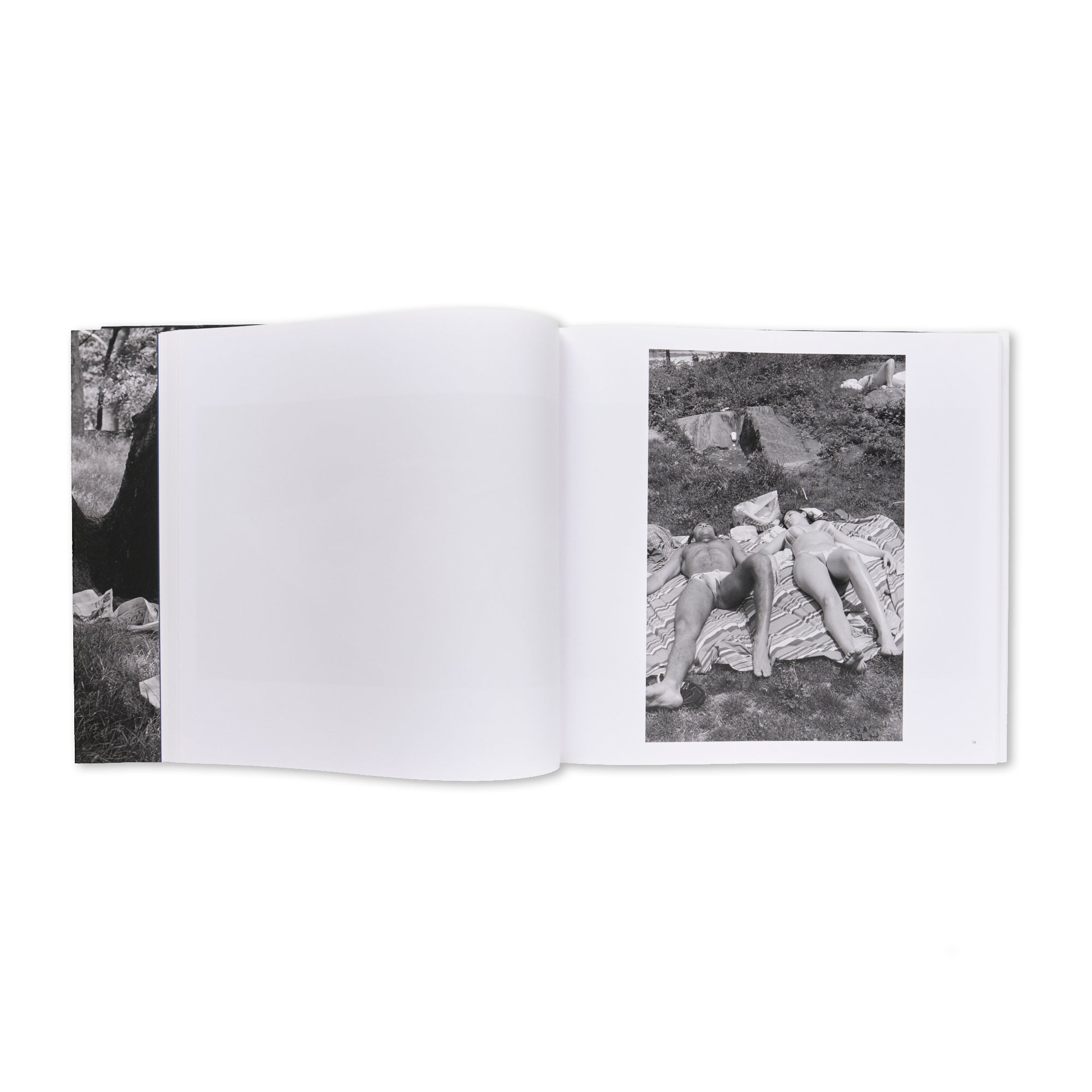 Tod Papageorge - Passing Through Eden