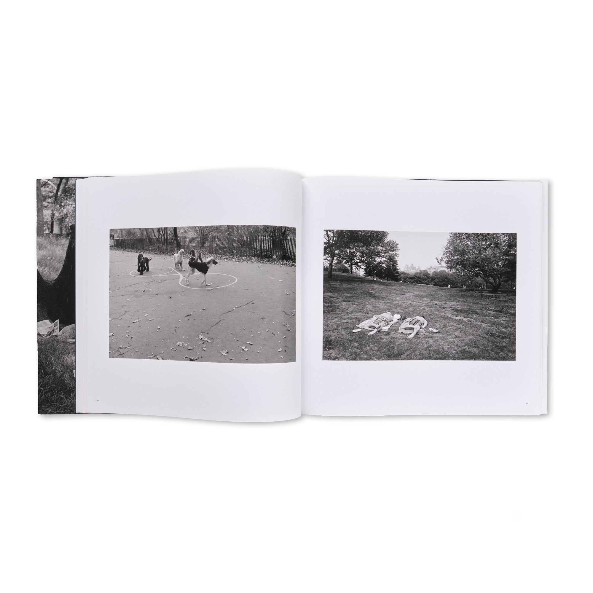 Tod Papageorge - Passing Through Eden