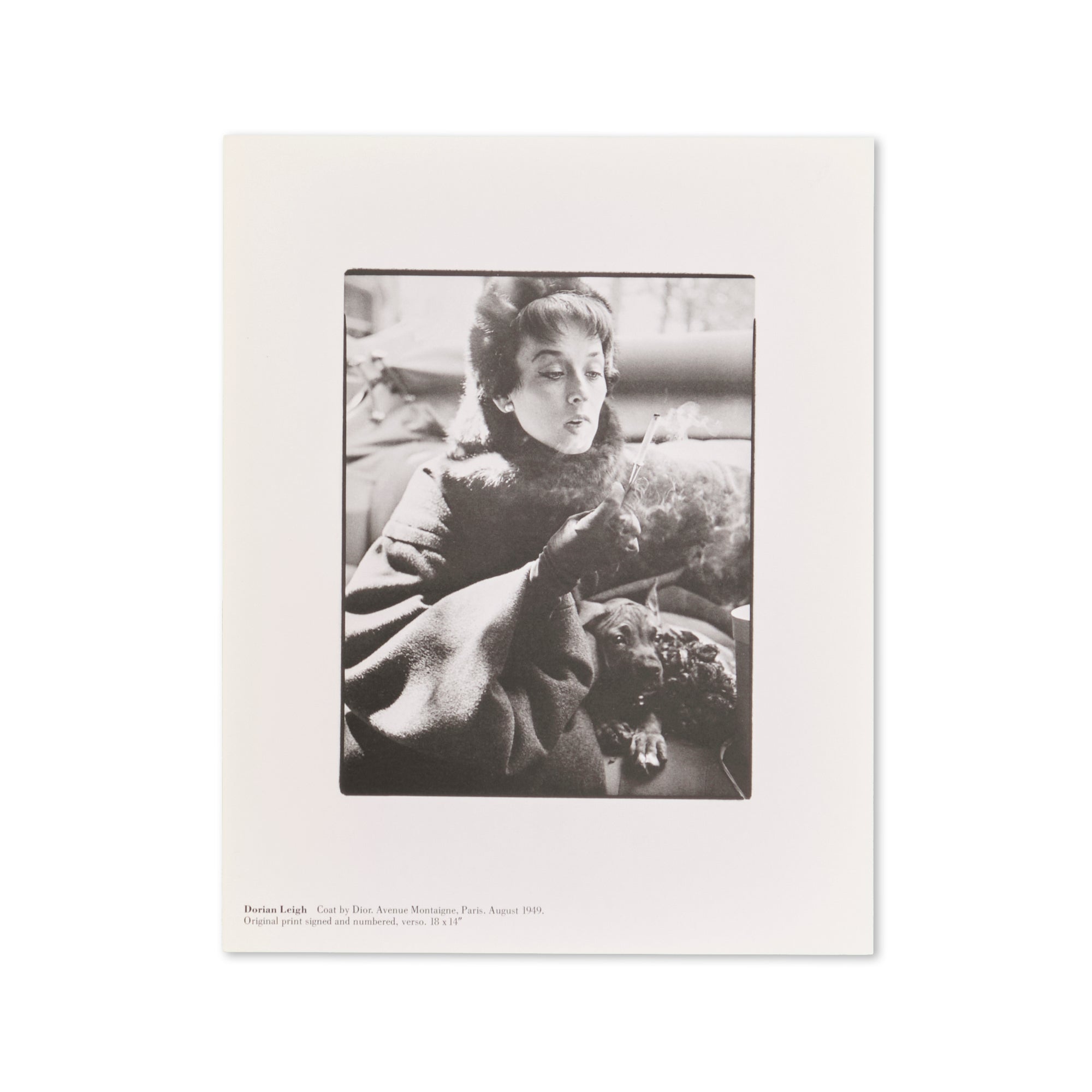 Richard Avedon — A Limited Edition