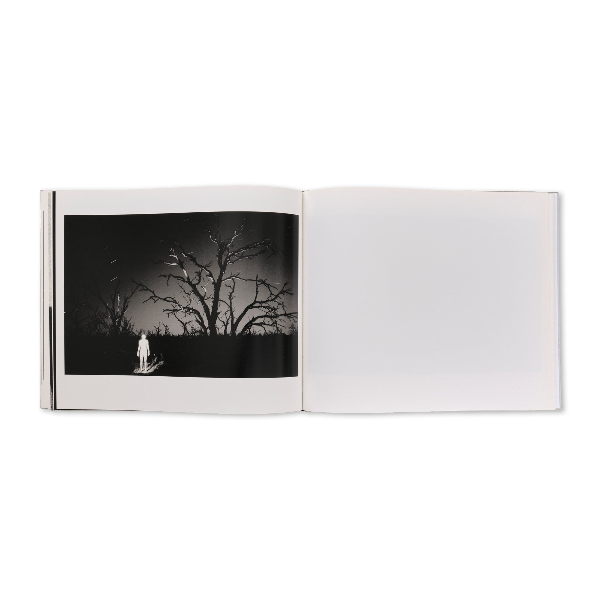 Trent Parke - Minutes to Midnight