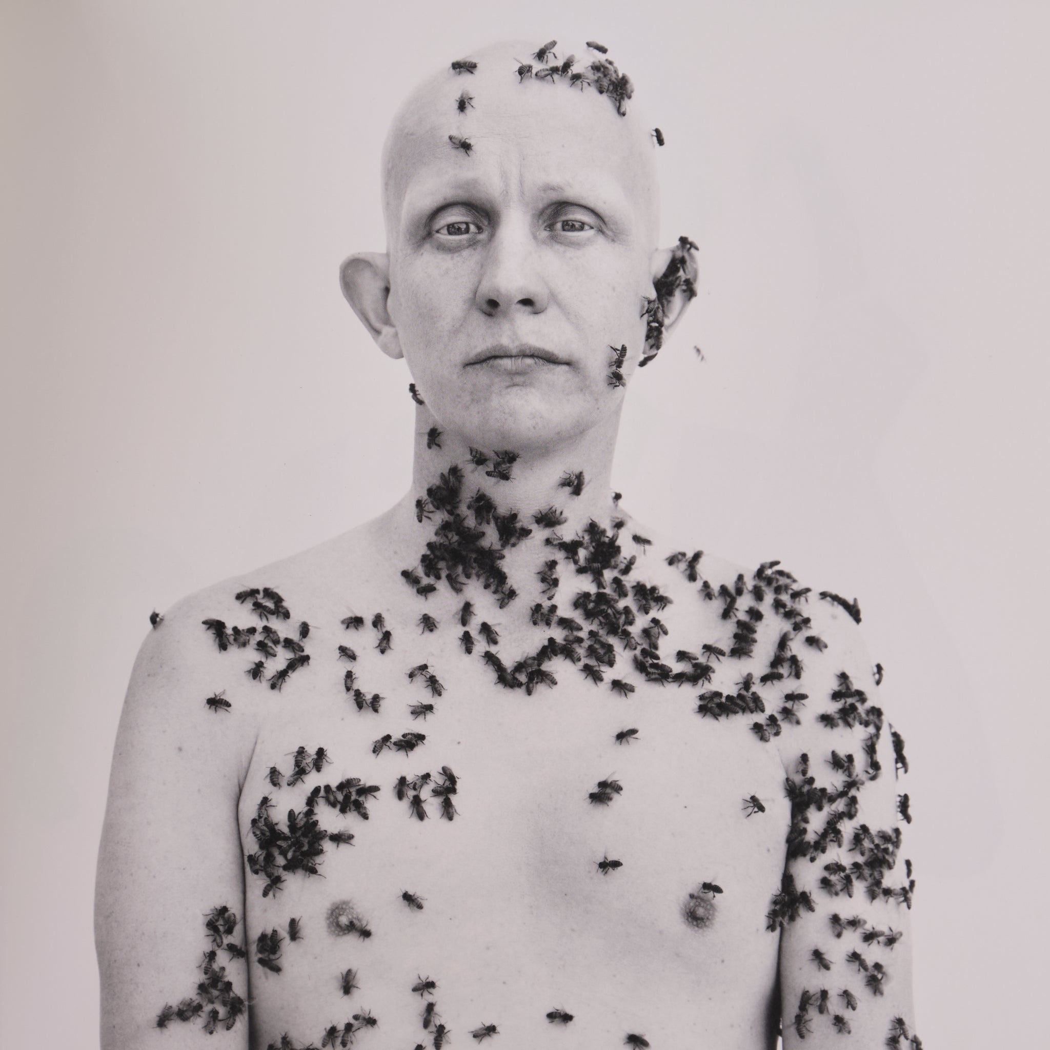 Richard Avedon - In The American West