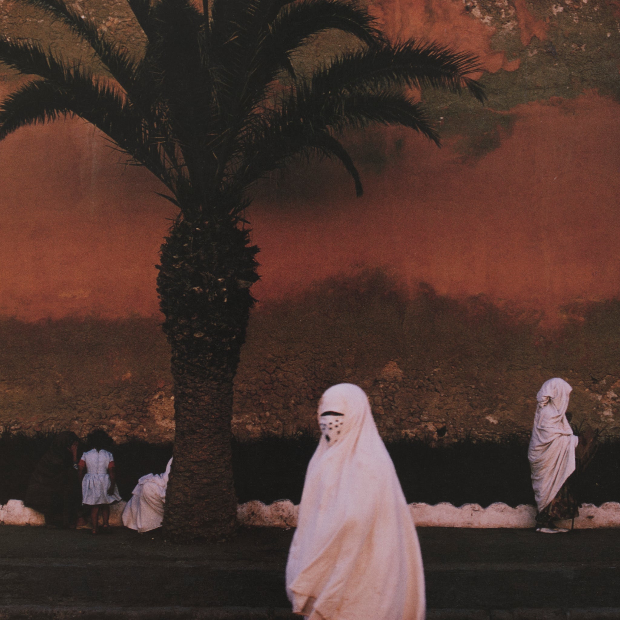 Harry Gruyaert - Morocco
