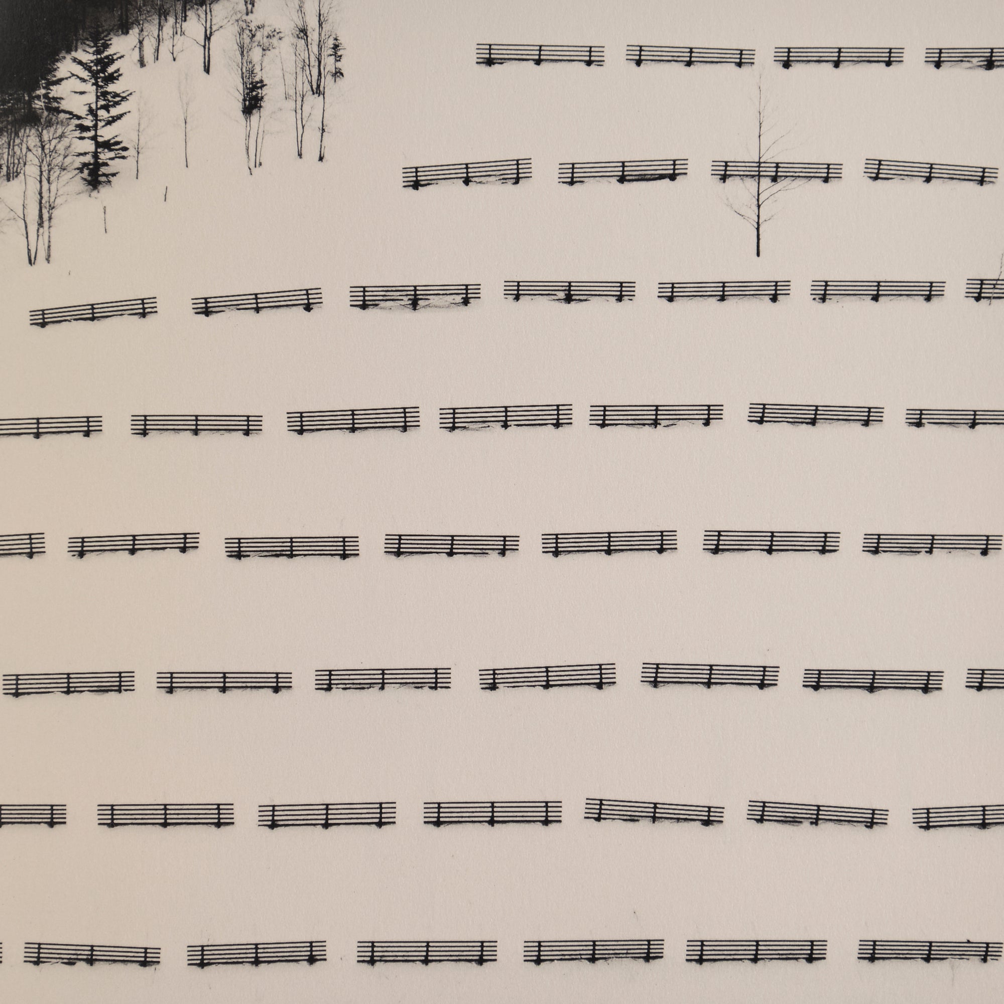 Michael Kenna - In Japan