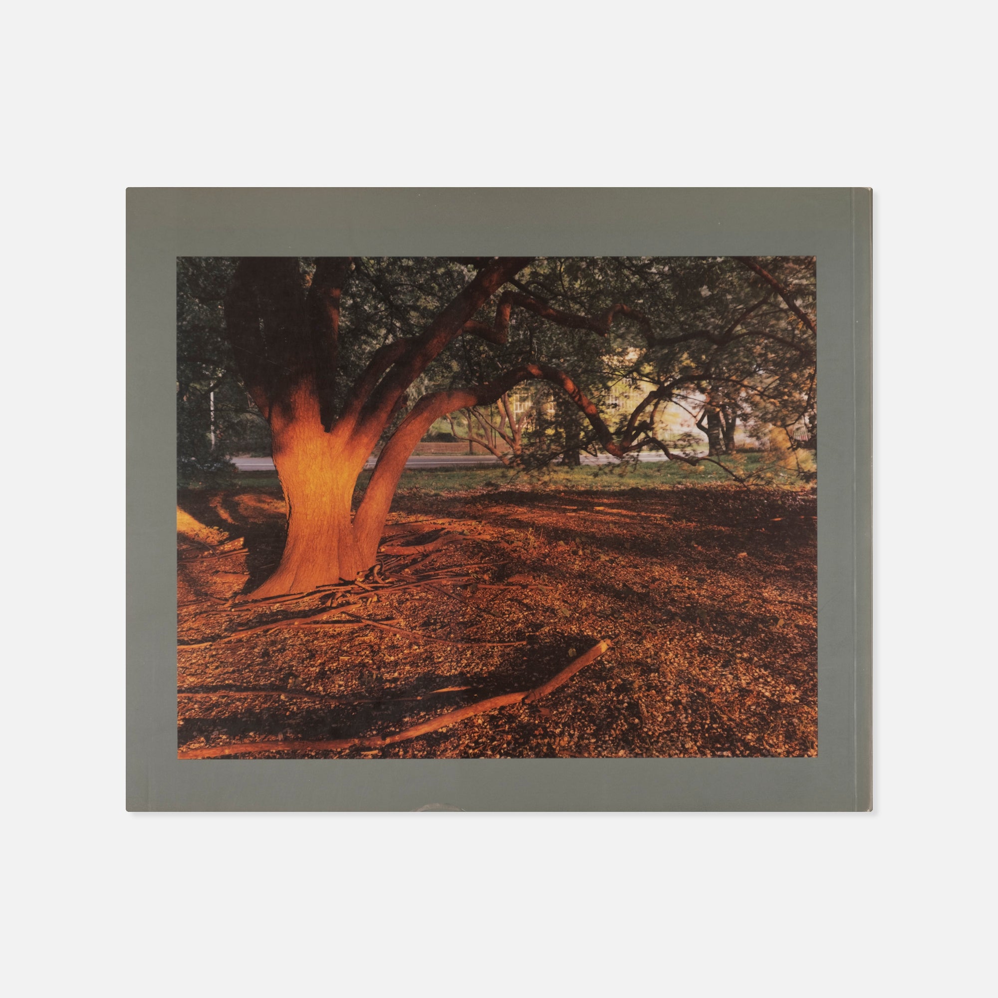 Joel Sternfeld — Tatorte (On This Site)
