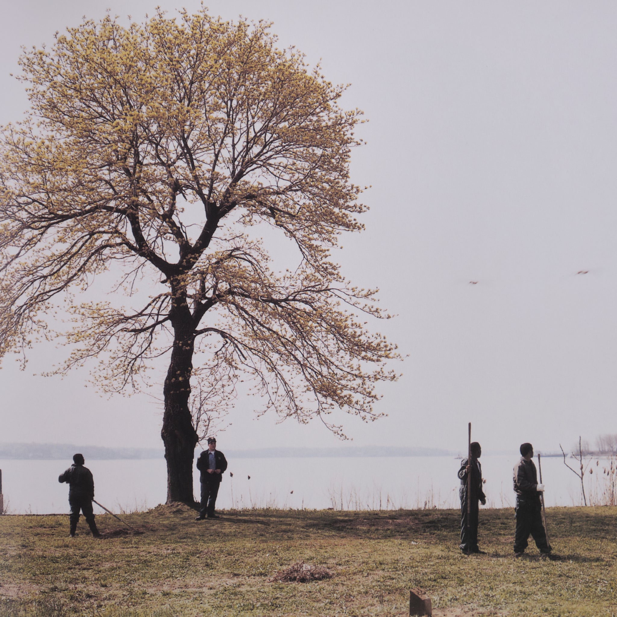 Joel Sternfeld & Melinda Hunt - Hart Island