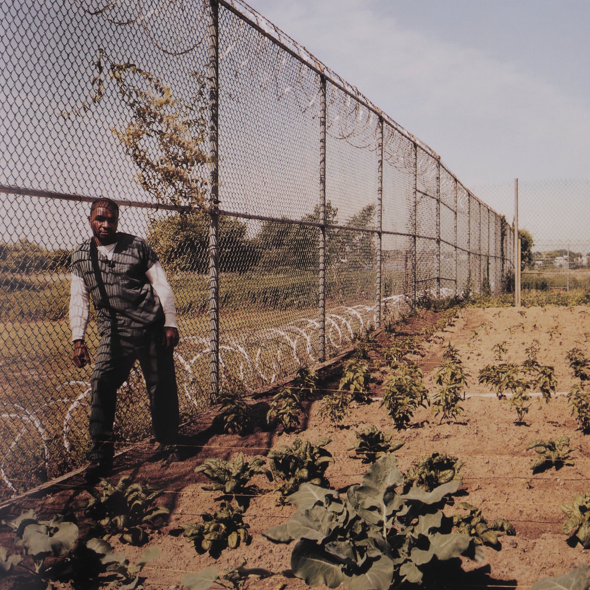 Joel Sternfeld & Melinda Hunt - Hart Island