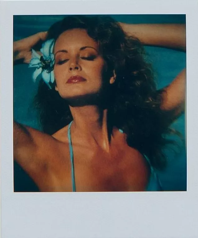 Robert Heinecken — Lessons in Posing Subjects