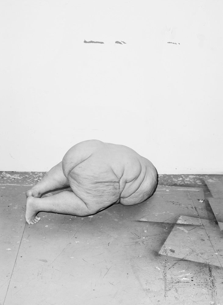 Asger Carlsen — Hester
