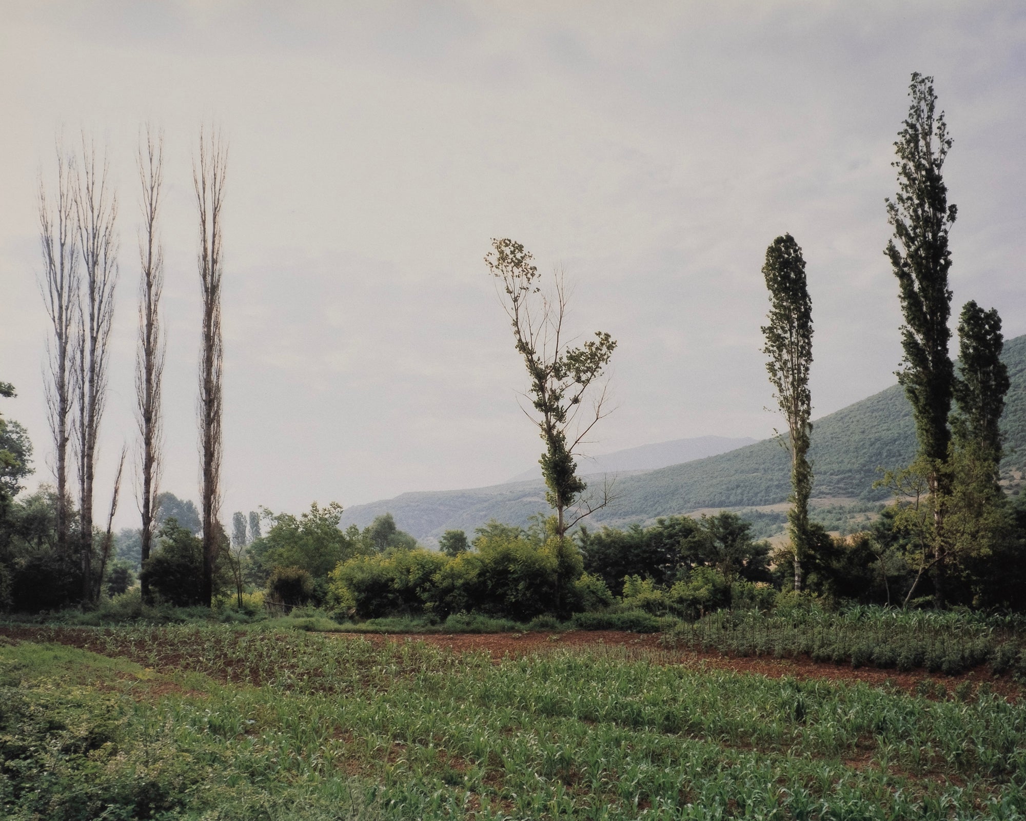Cuny Janssen — Macedonia