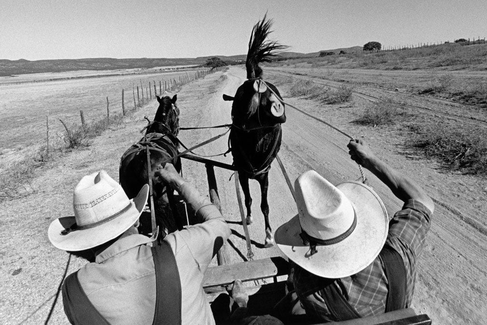 Larry Towell — The Mennonites