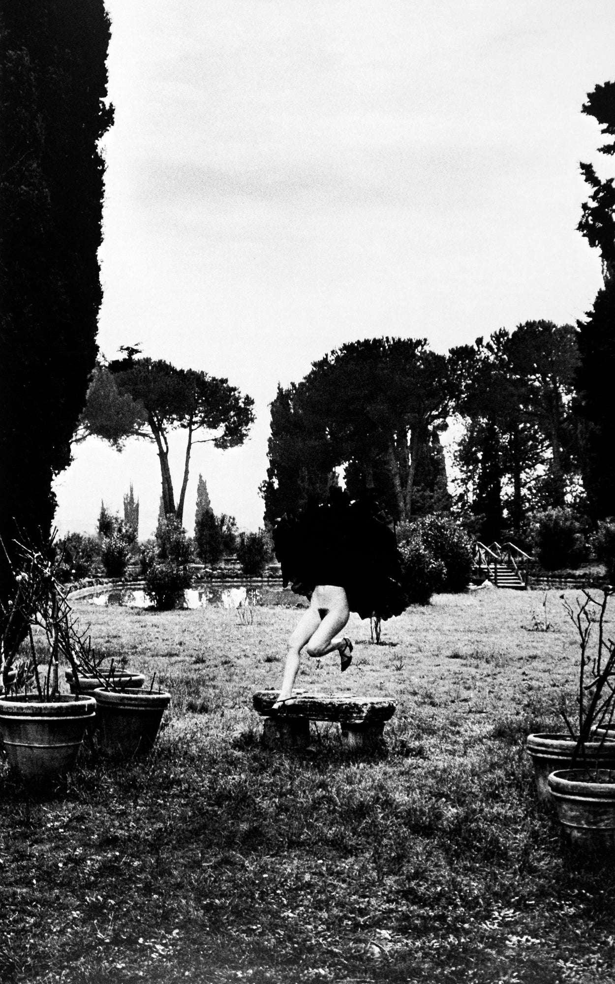 Helmut Newton — Special Collection 24 Photo Lithos