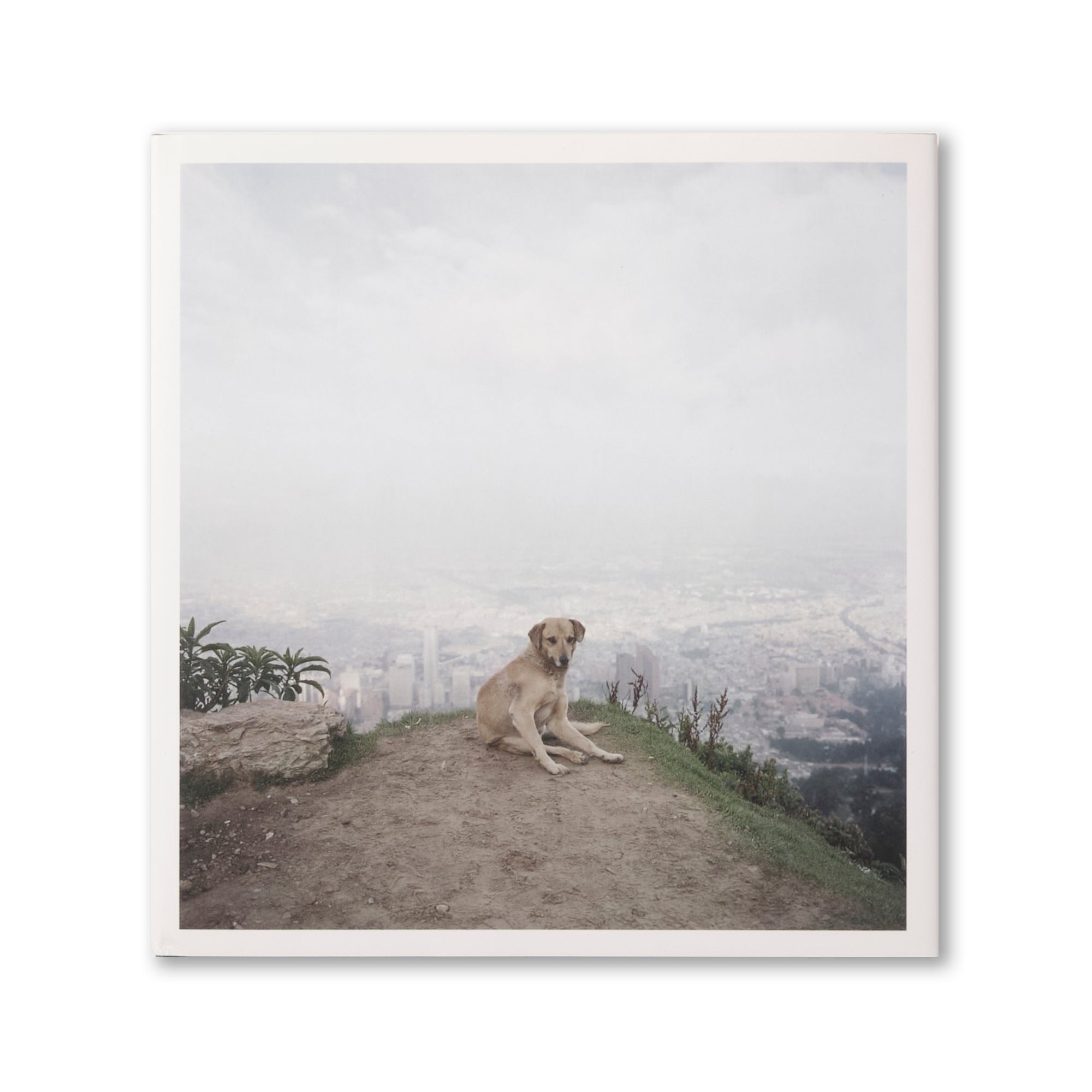 Alec Soth – Dog Days Bogota