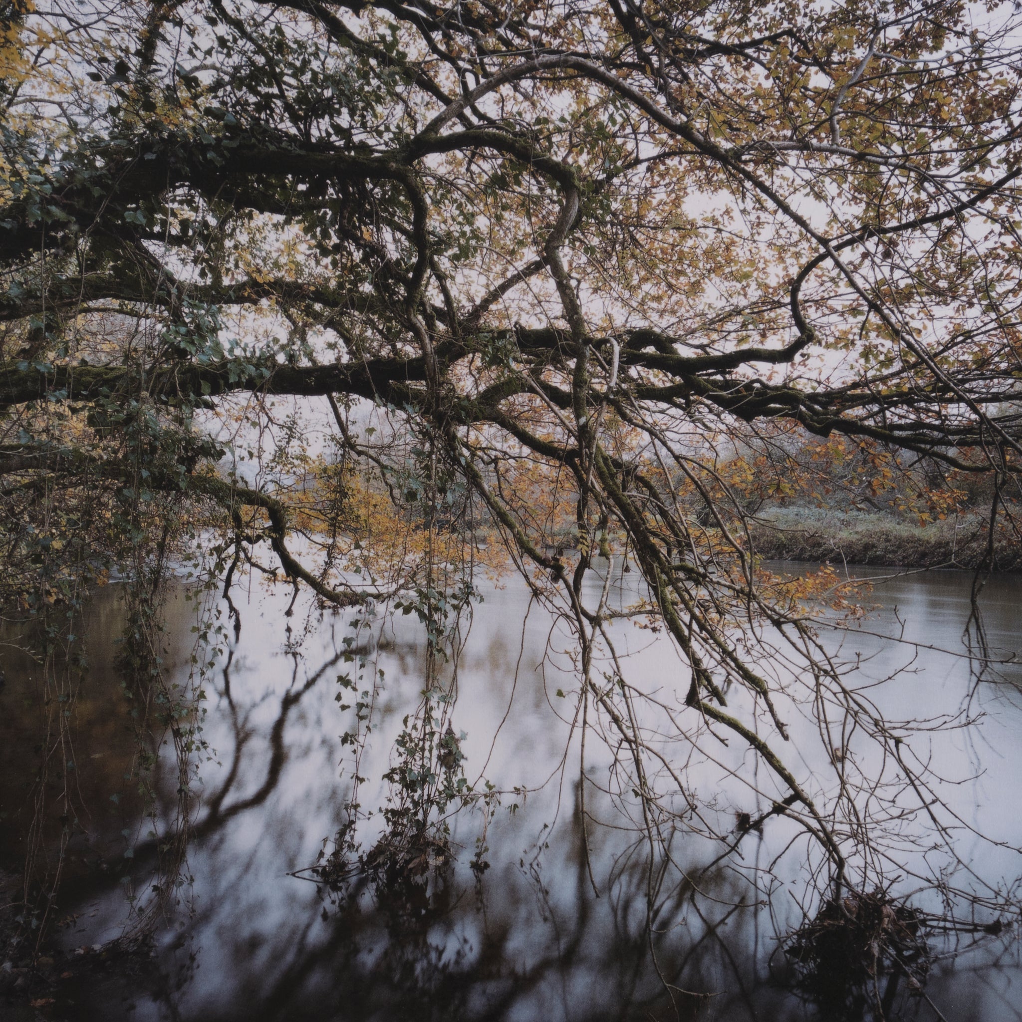 Jem Southam — The River Winter