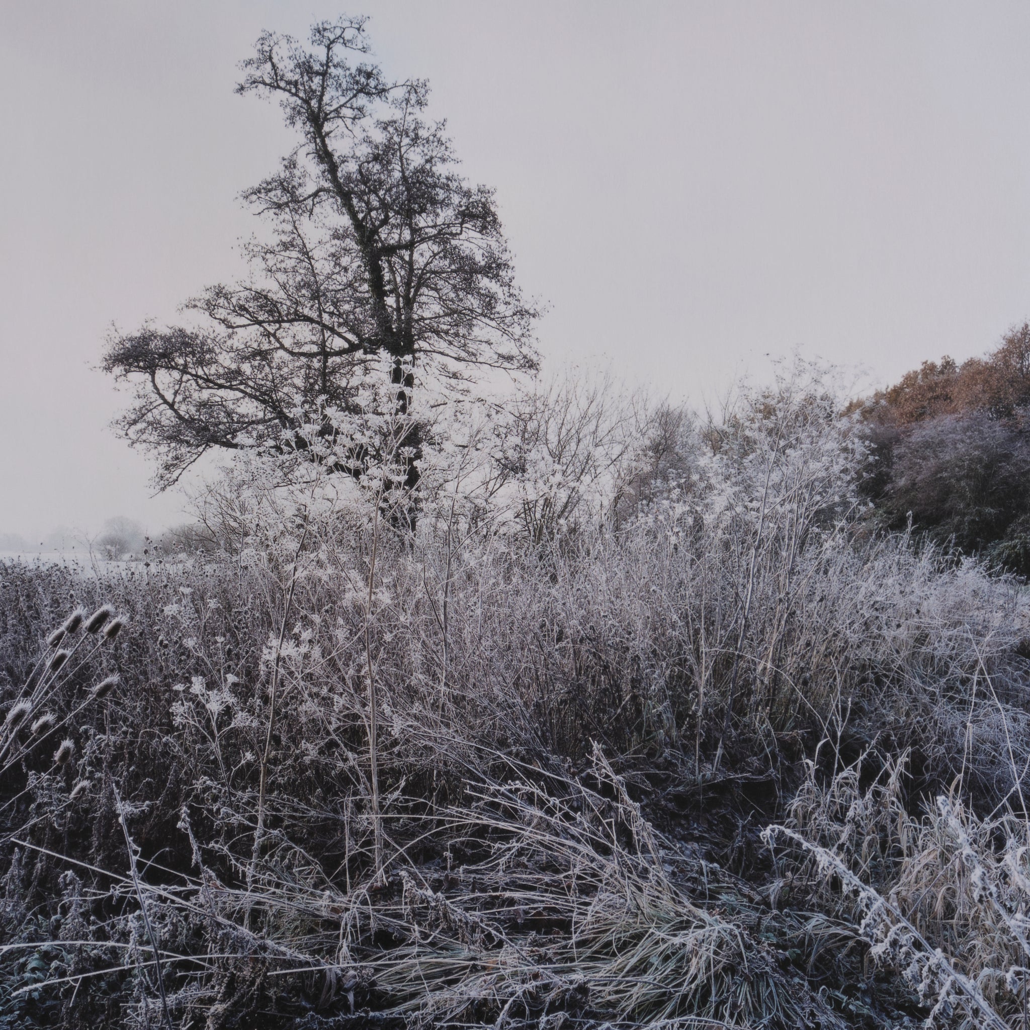 Jem Southam — The River Winter